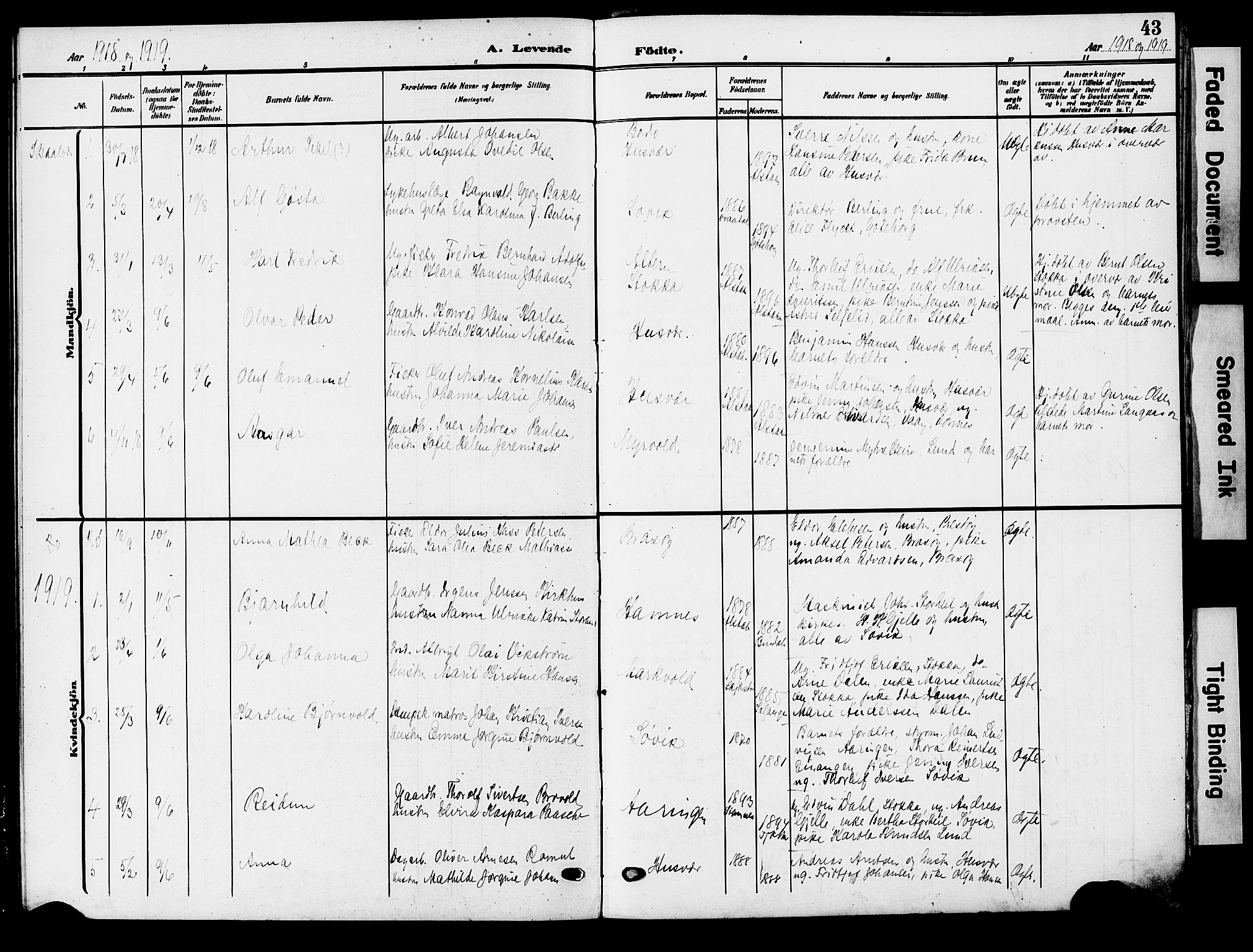 Ministerialprotokoller, klokkerbøker og fødselsregistre - Nordland, AV/SAT-A-1459/830/L0464: Parish register (copy) no. 830C06, 1906-1925, p. 43