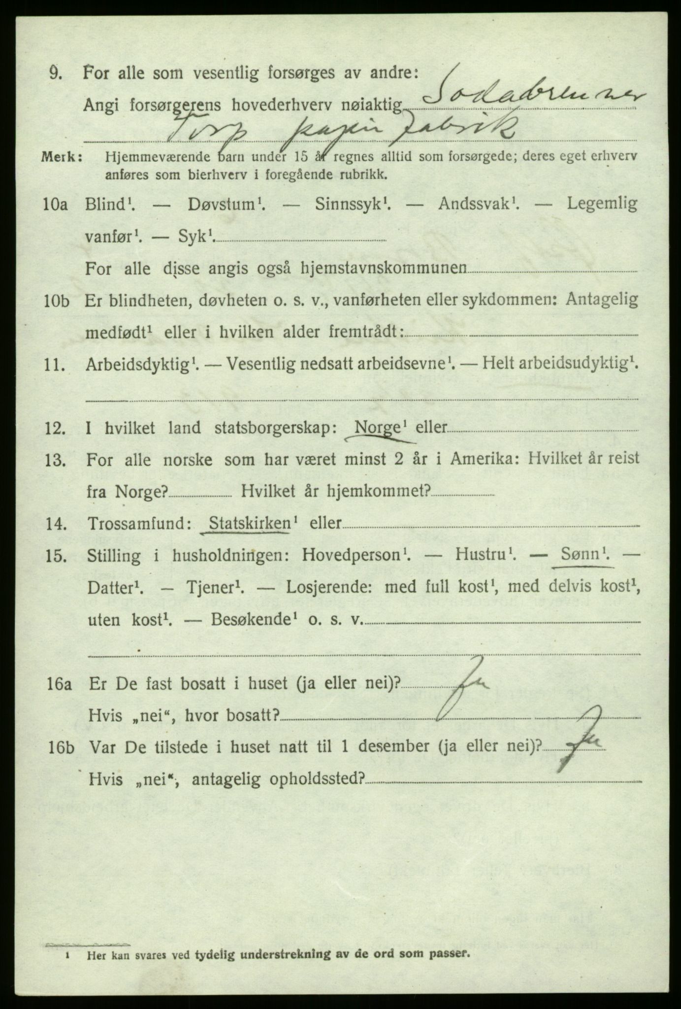 SAO, 1920 census for Borge, 1920, p. 11242