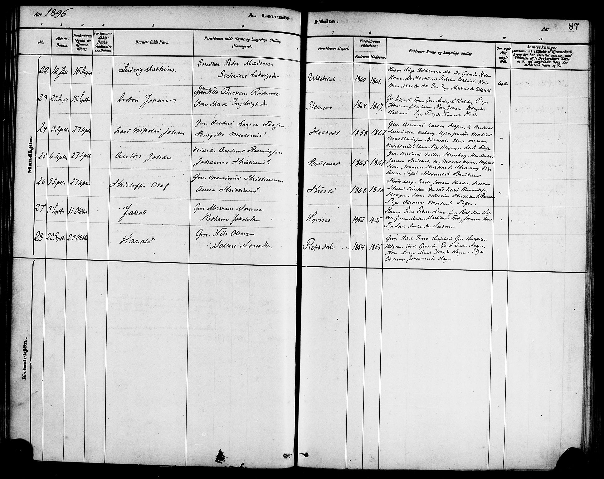 Førde sokneprestembete, AV/SAB-A-79901/H/Haa/Haab/L0001: Parish register (official) no. B 1, 1880-1898, p. 87