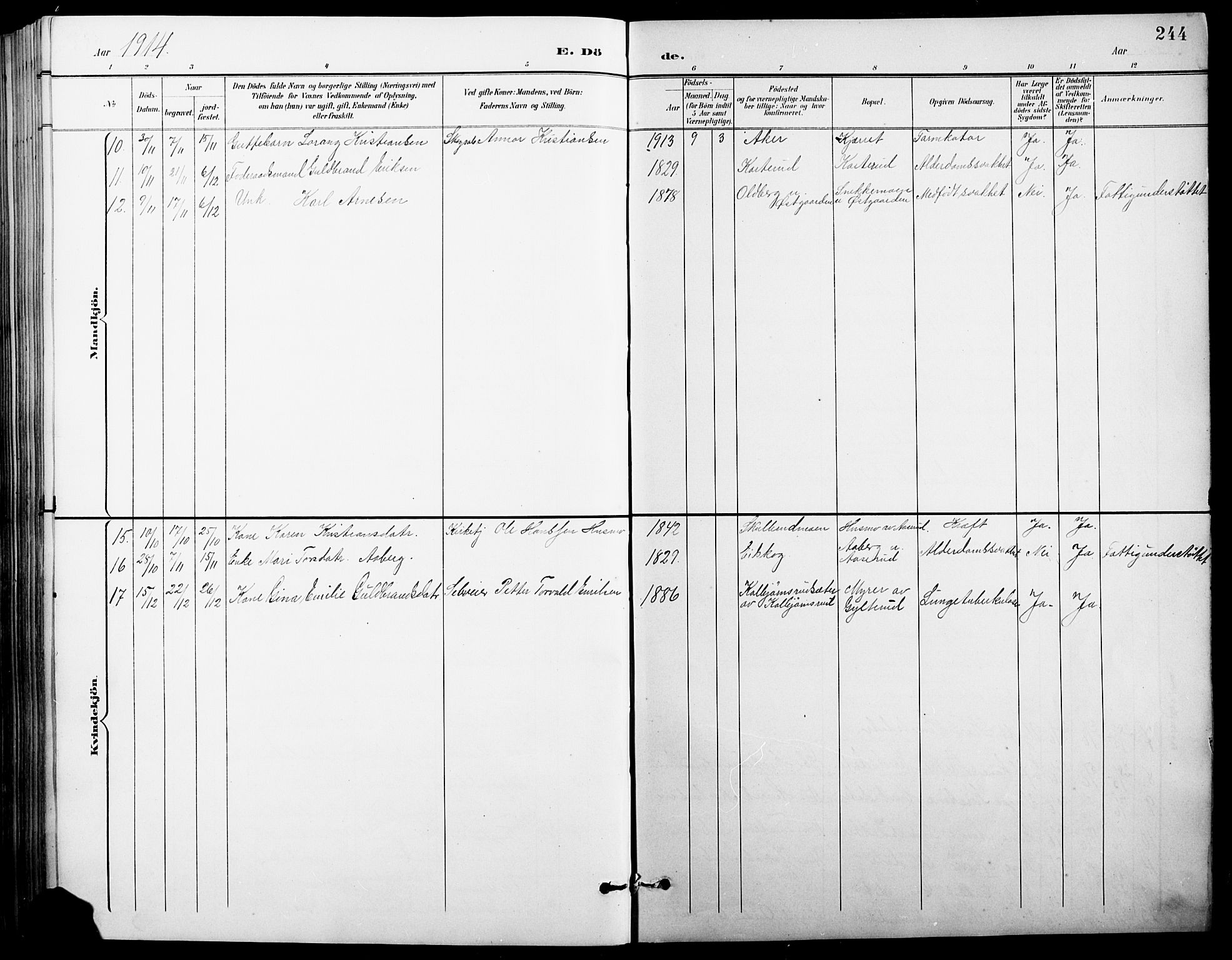 Vinger prestekontor, AV/SAH-PREST-024/H/Ha/Hab/L0004: Parish register (copy) no. 4, 1895-1920, p. 244