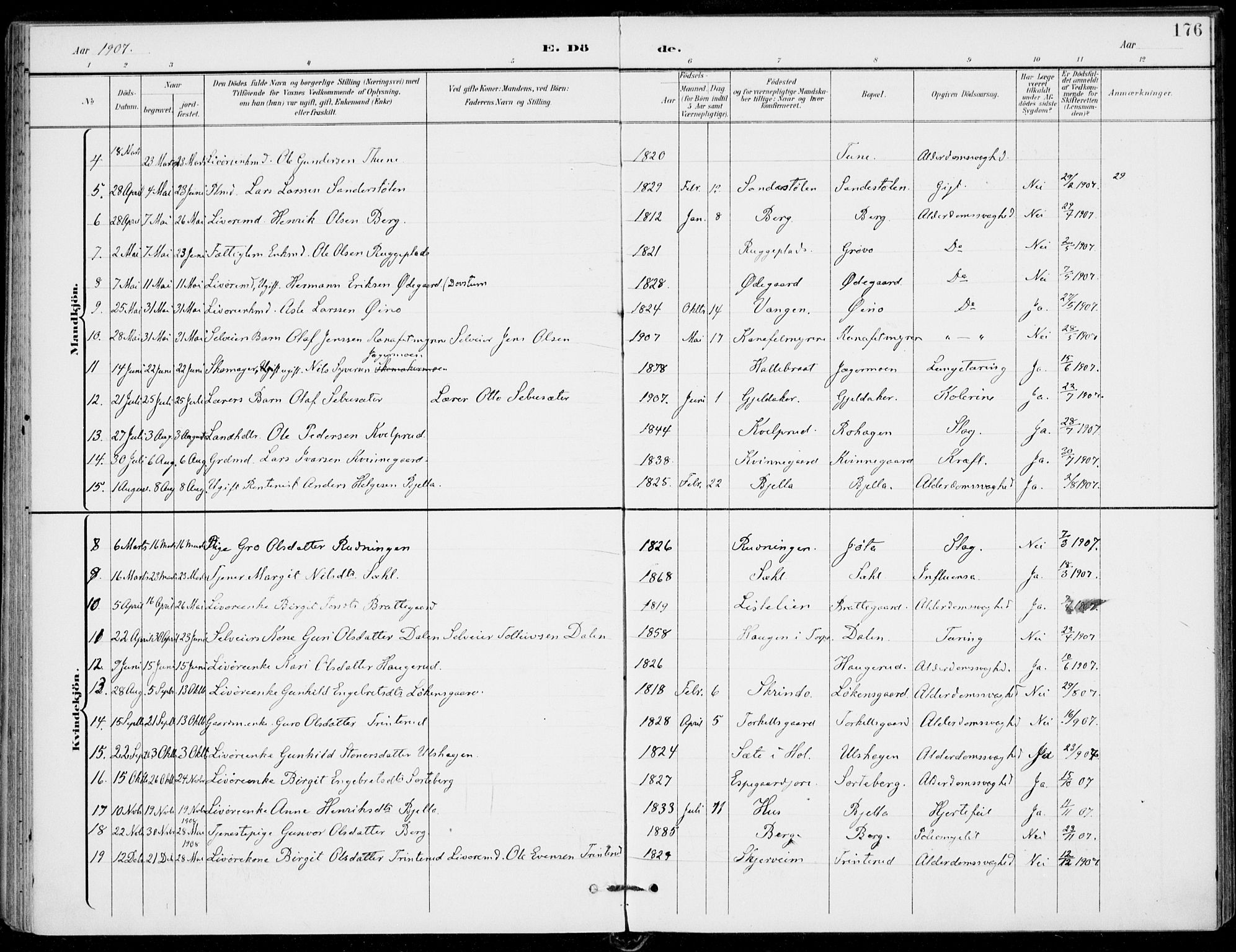 Ål kirkebøker, AV/SAKO-A-249/F/Fa/L0009: Parish register (official) no. I 9, 1897-1915, p. 176