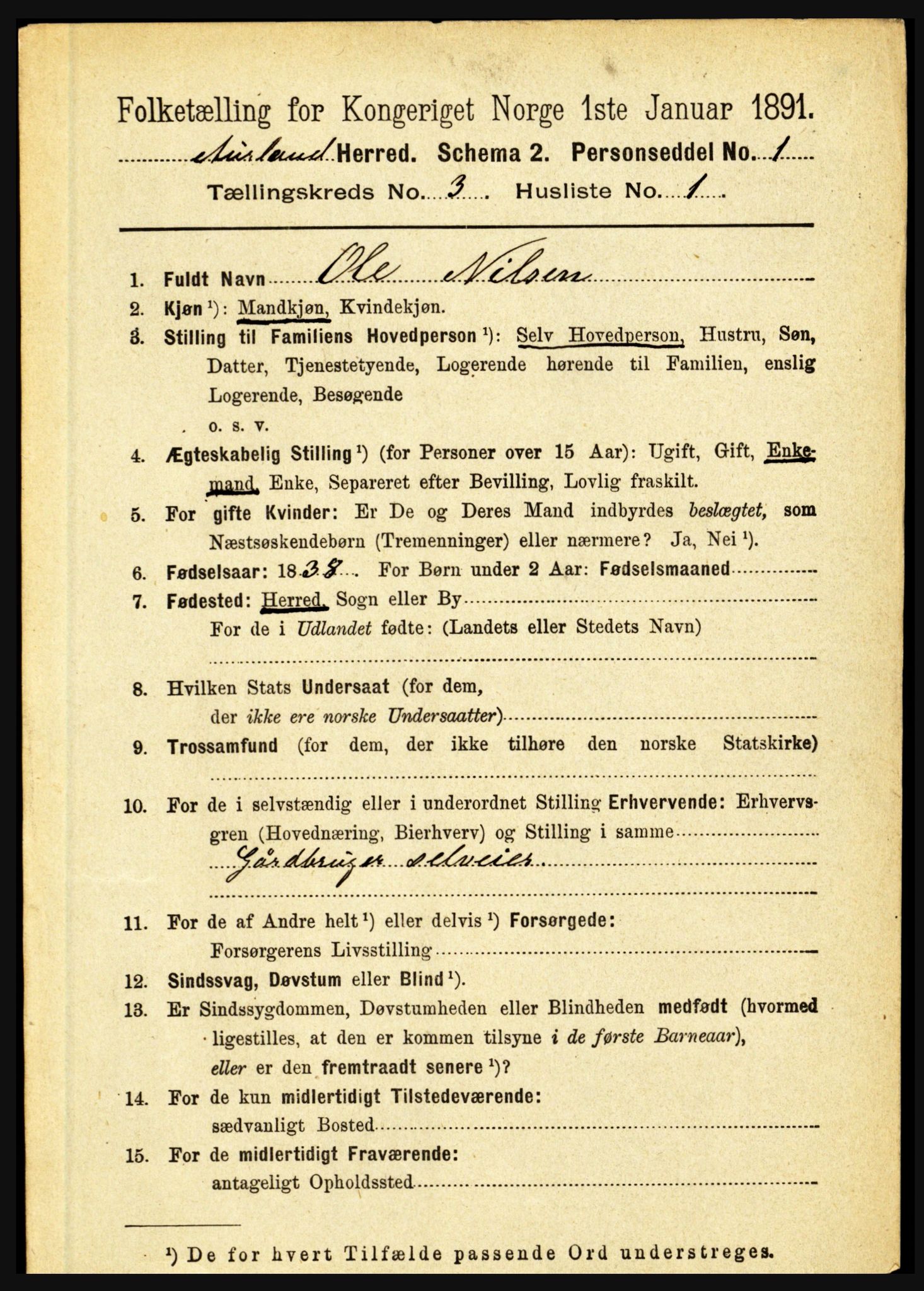 RA, 1891 census for 1421 Aurland, 1891, p. 943