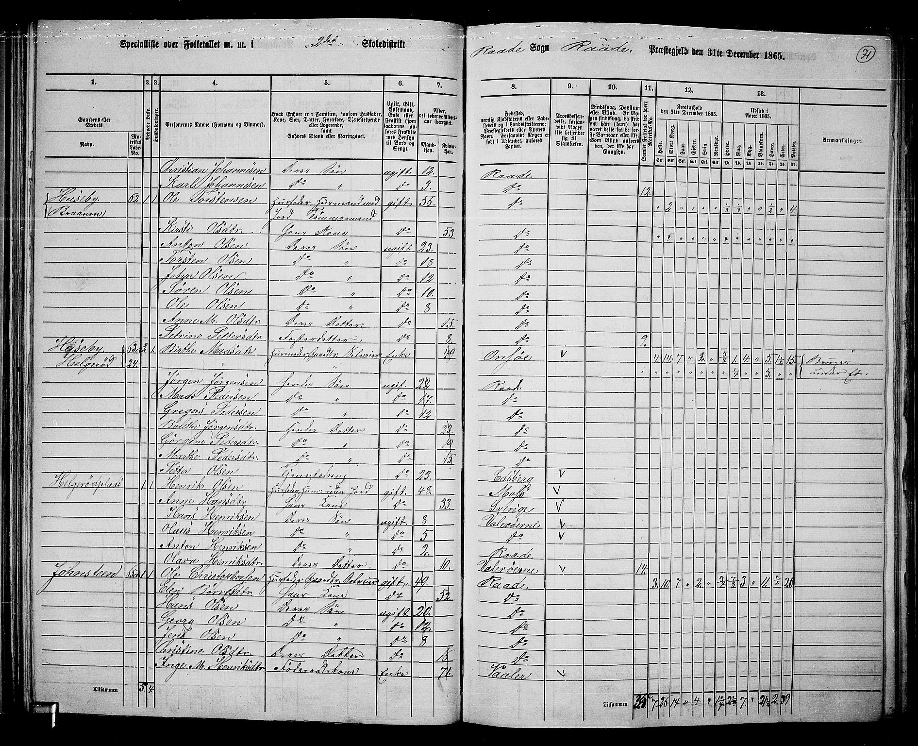 RA, 1865 census for Råde, 1865, p. 65