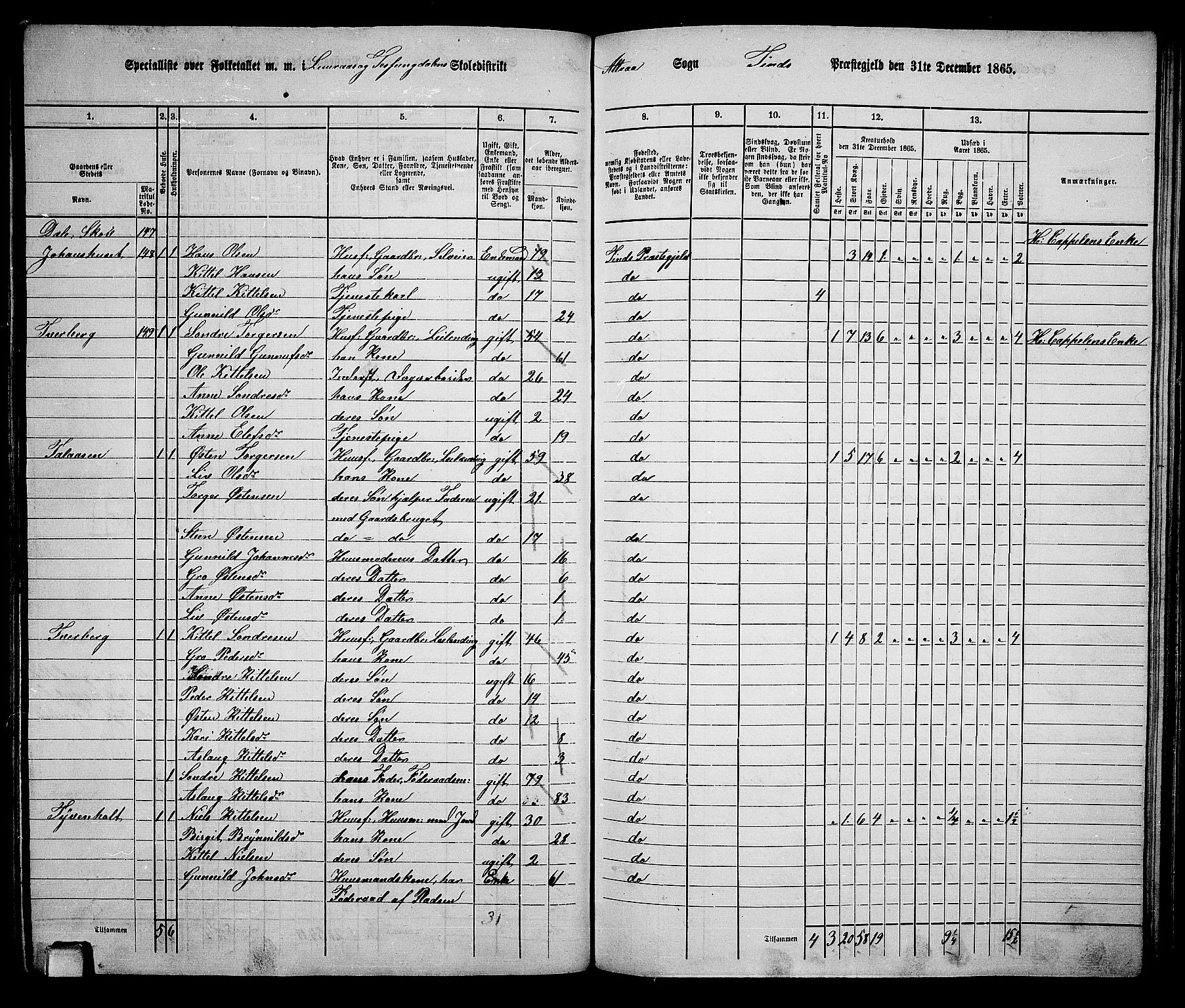 RA, 1865 census for Tinn, 1865, p. 34