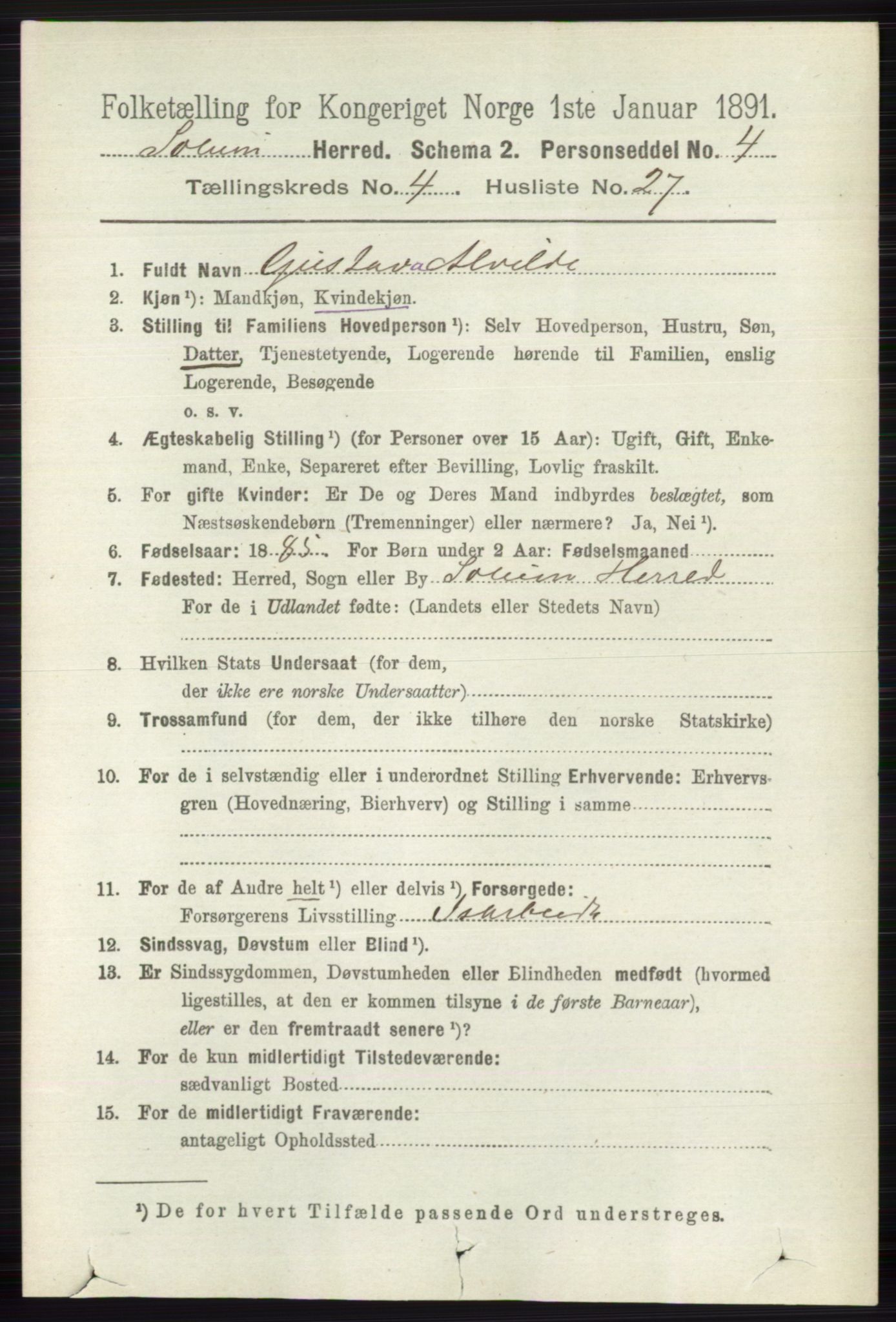 RA, 1891 census for 0818 Solum, 1891, p. 785