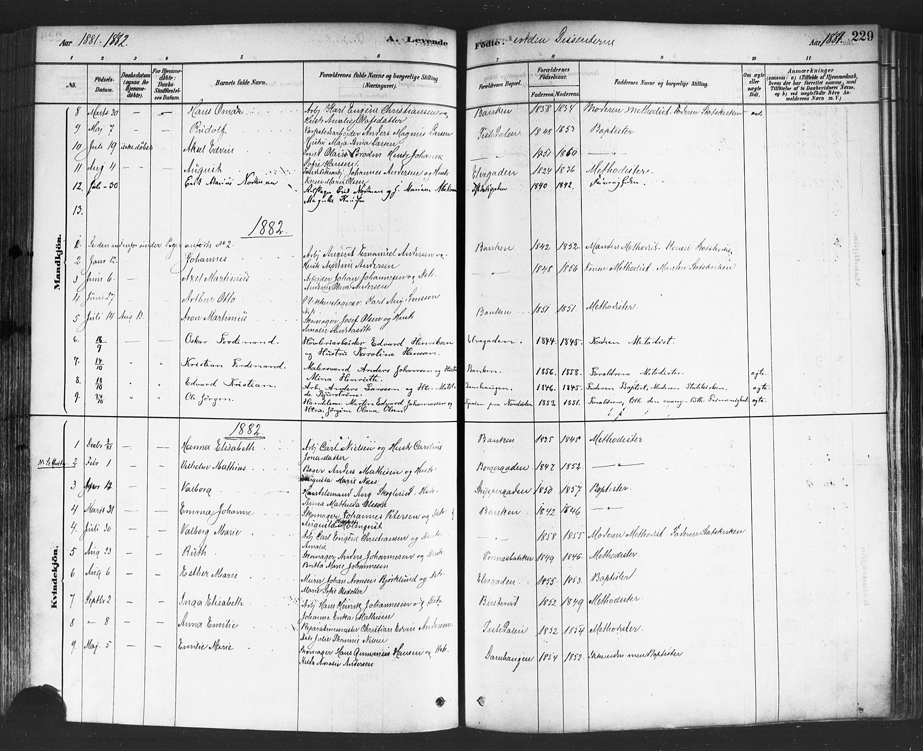 Halden prestekontor Kirkebøker, SAO/A-10909/F/Fa/L0011: Parish register (official) no. I 11, 1878-1889, p. 229