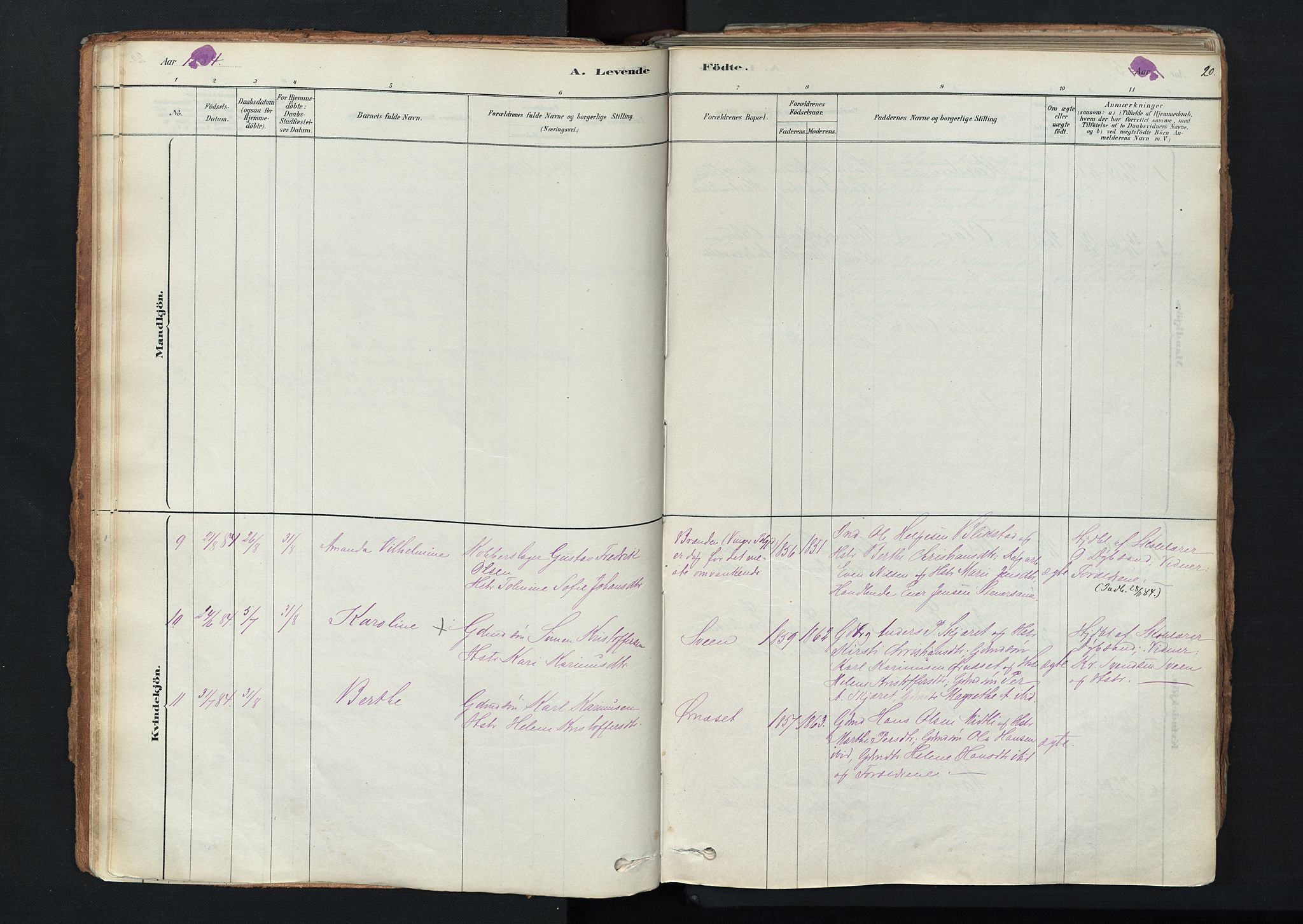 Trysil prestekontor, AV/SAH-PREST-046/H/Ha/Haa/L0011: Parish register (official) no. 11, 1878-1912, p. 20