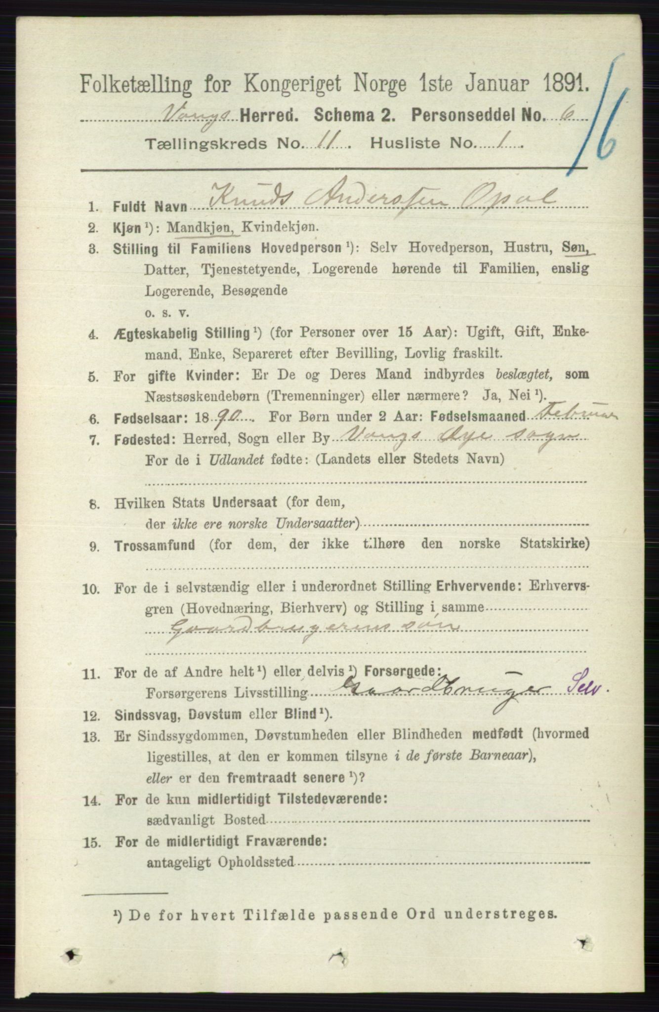 RA, 1891 census for 0545 Vang, 1891, p. 2402