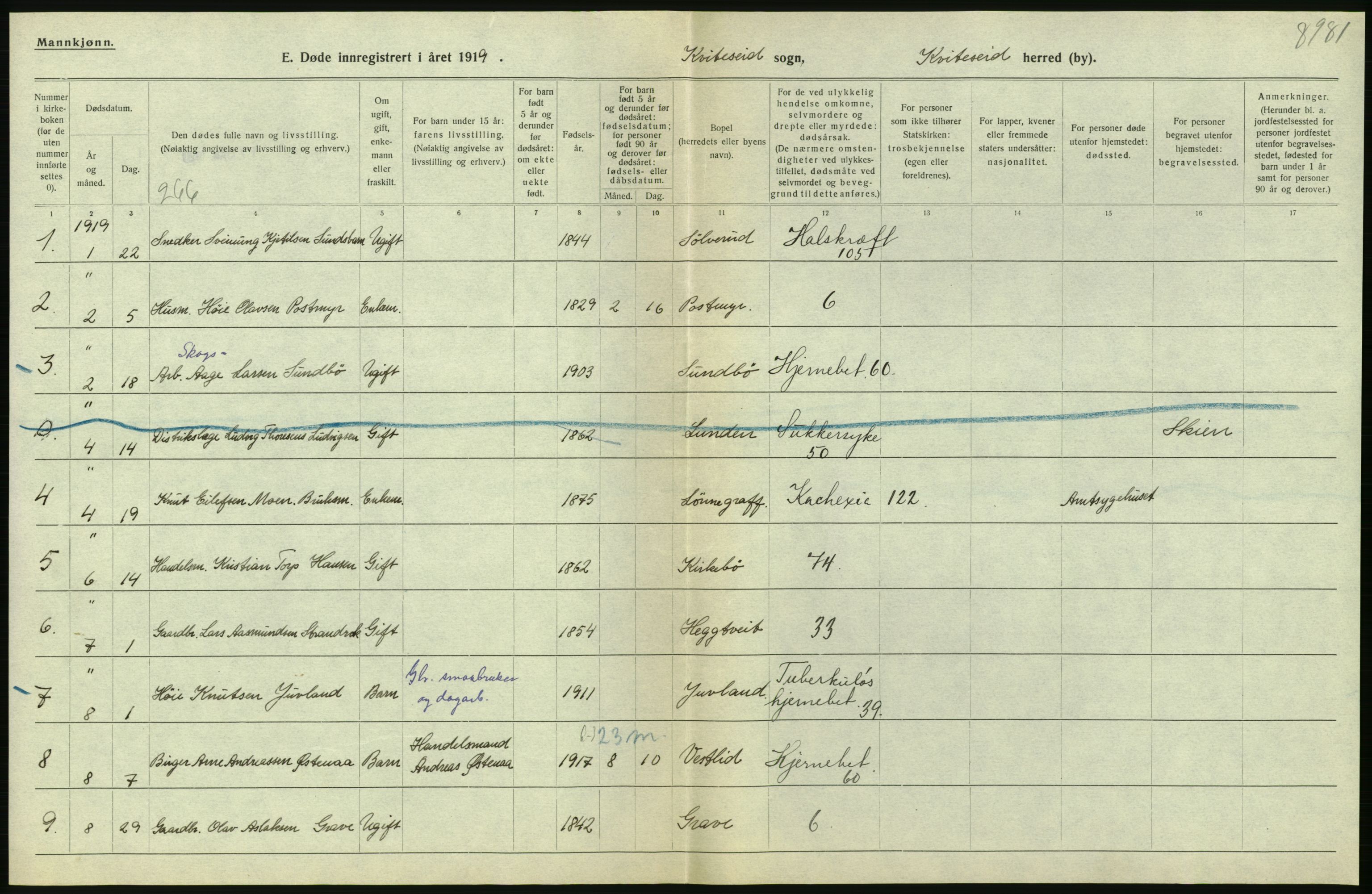 Statistisk sentralbyrå, Sosiodemografiske emner, Befolkning, RA/S-2228/D/Df/Dfb/Dfbi/L0023: Telemark fylke: Døde. Bygder og byer., 1919, p. 152