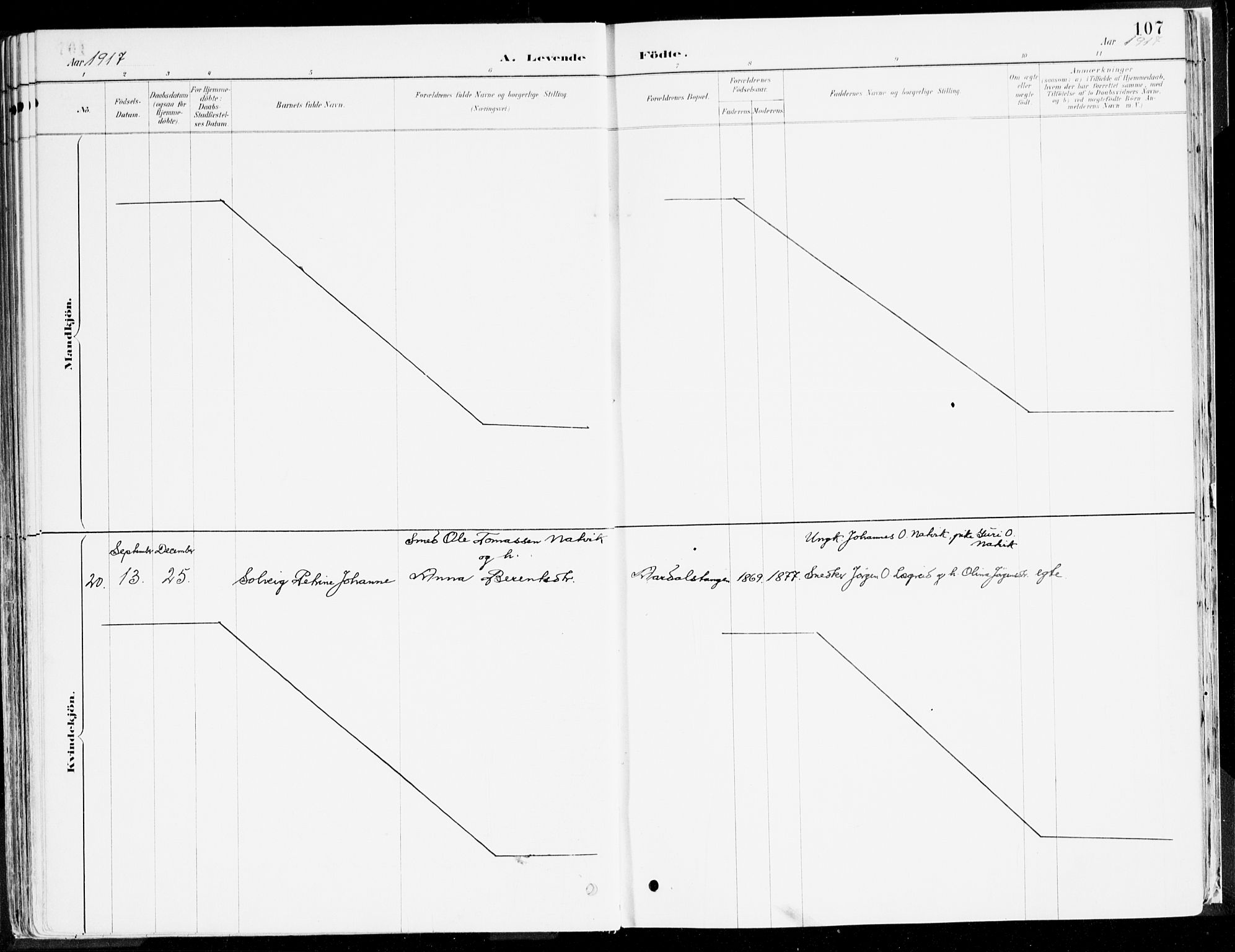 Årdal sokneprestembete, AV/SAB-A-81701: Parish register (official) no. A 5, 1887-1917, p. 107