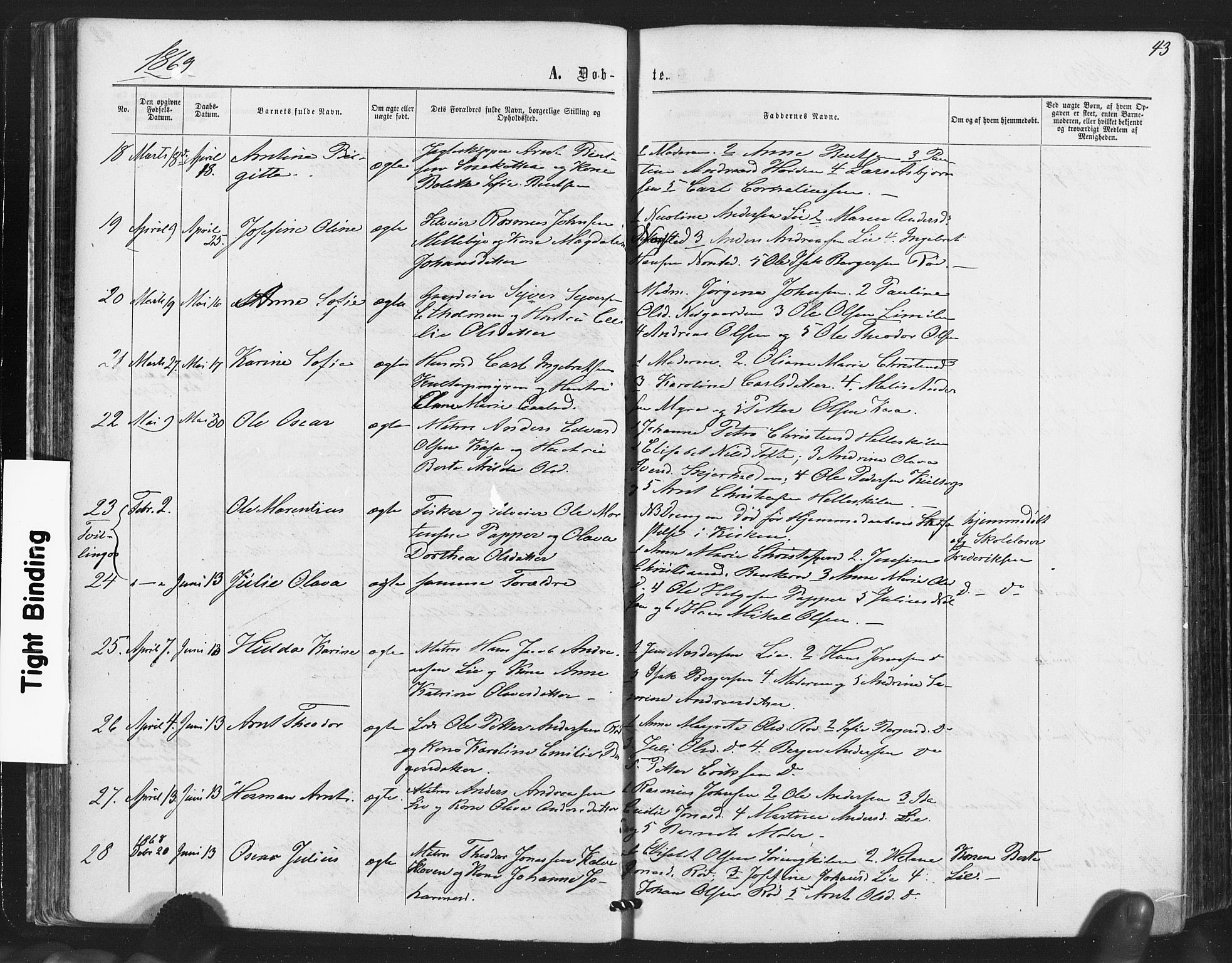 Hvaler prestekontor Kirkebøker, AV/SAO-A-2001/F/Fa/L0007: Parish register (official) no. I 7, 1864-1878, p. 43