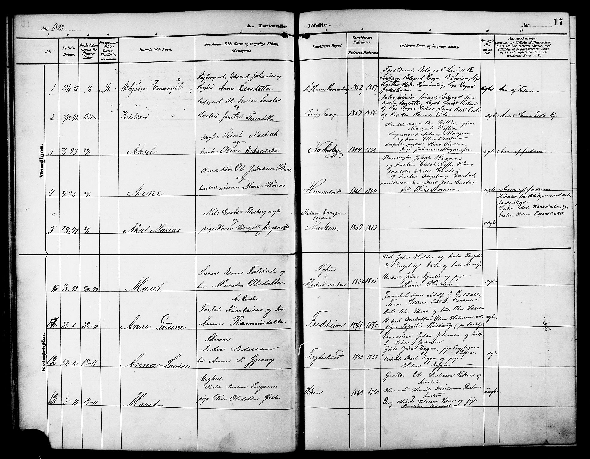 Ministerialprotokoller, klokkerbøker og fødselsregistre - Sør-Trøndelag, SAT/A-1456/617/L0431: Parish register (copy) no. 617C01, 1889-1910, p. 17