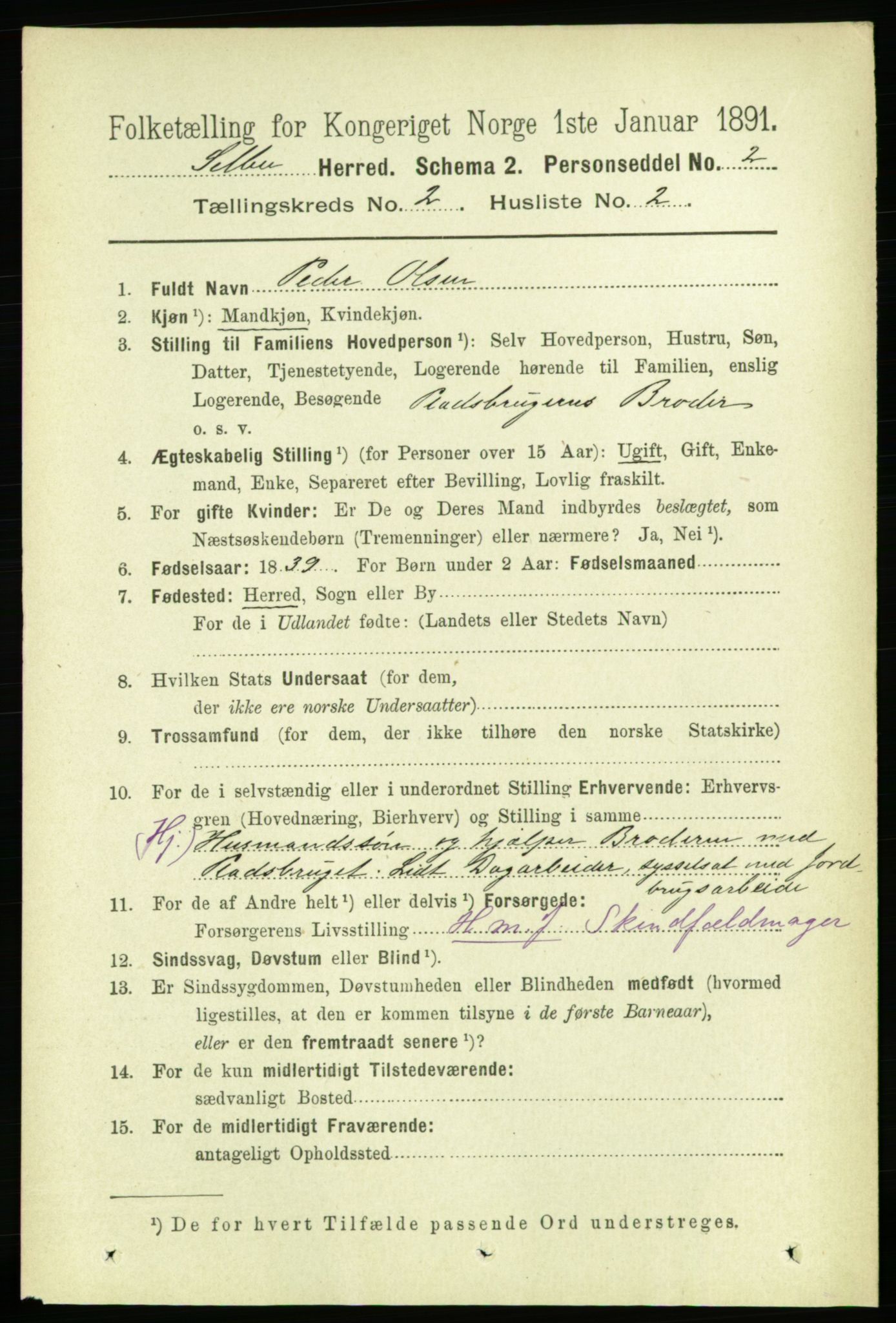 RA, 1891 census for 1664 Selbu, 1891, p. 272