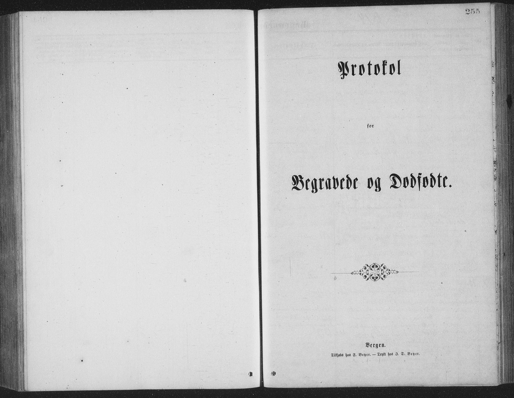 Ministerialprotokoller, klokkerbøker og fødselsregistre - Nordland, SAT/A-1459/886/L1225: Parish register (copy) no. 886C02, 1874-1896, p. 255