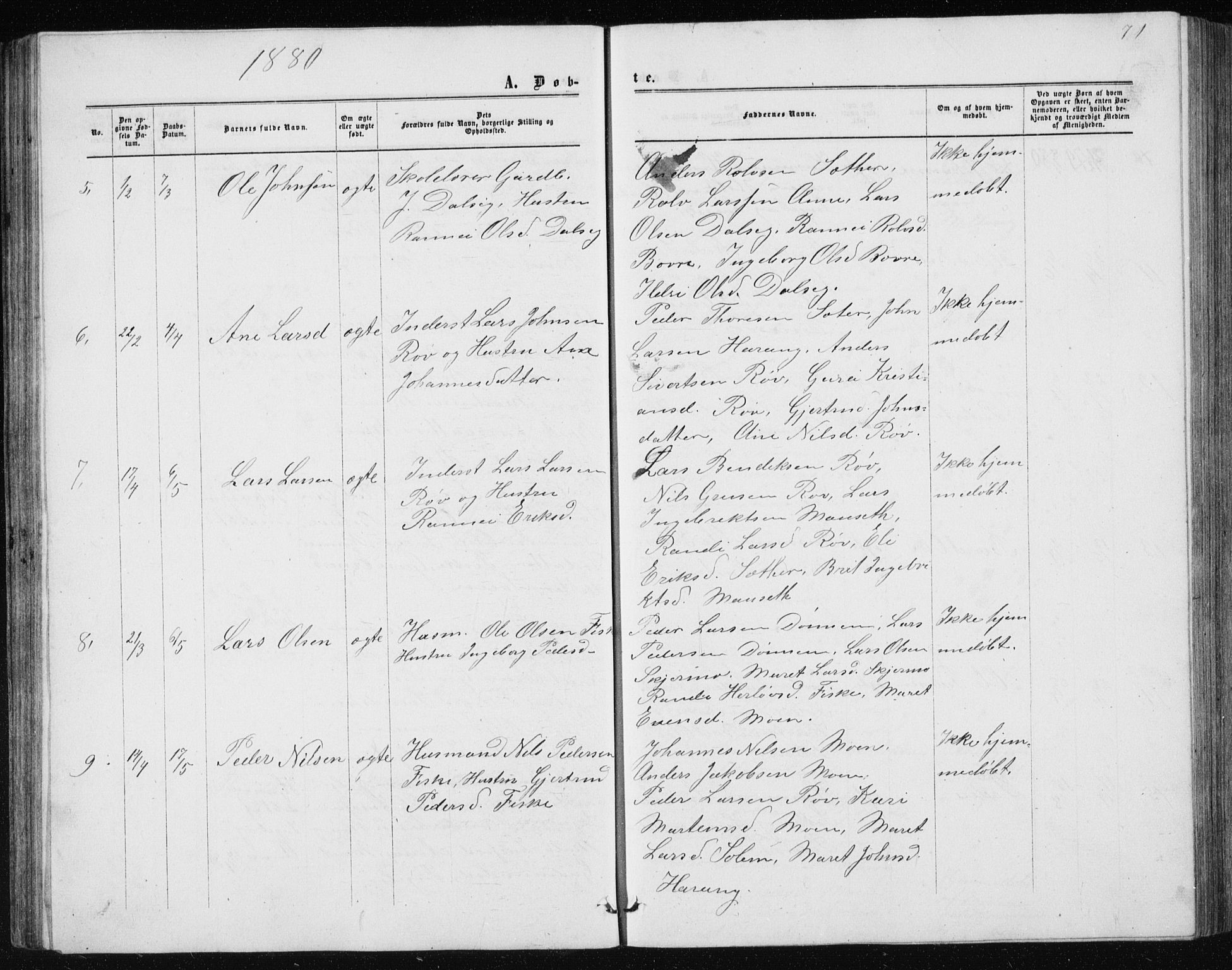 Ministerialprotokoller, klokkerbøker og fødselsregistre - Møre og Romsdal, AV/SAT-A-1454/597/L1064: Parish register (copy) no. 597C01, 1866-1898, p. 71