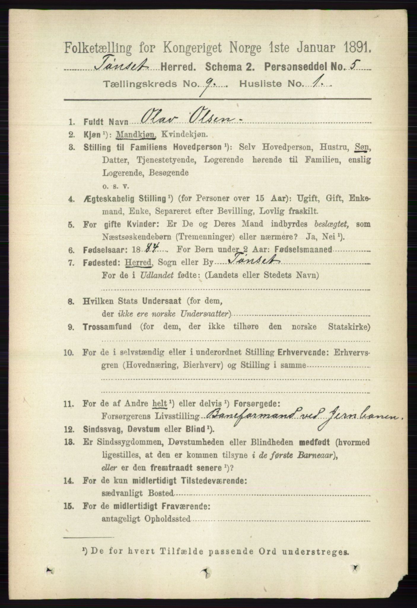 RA, 1891 census for 0437 Tynset, 1891, p. 2424