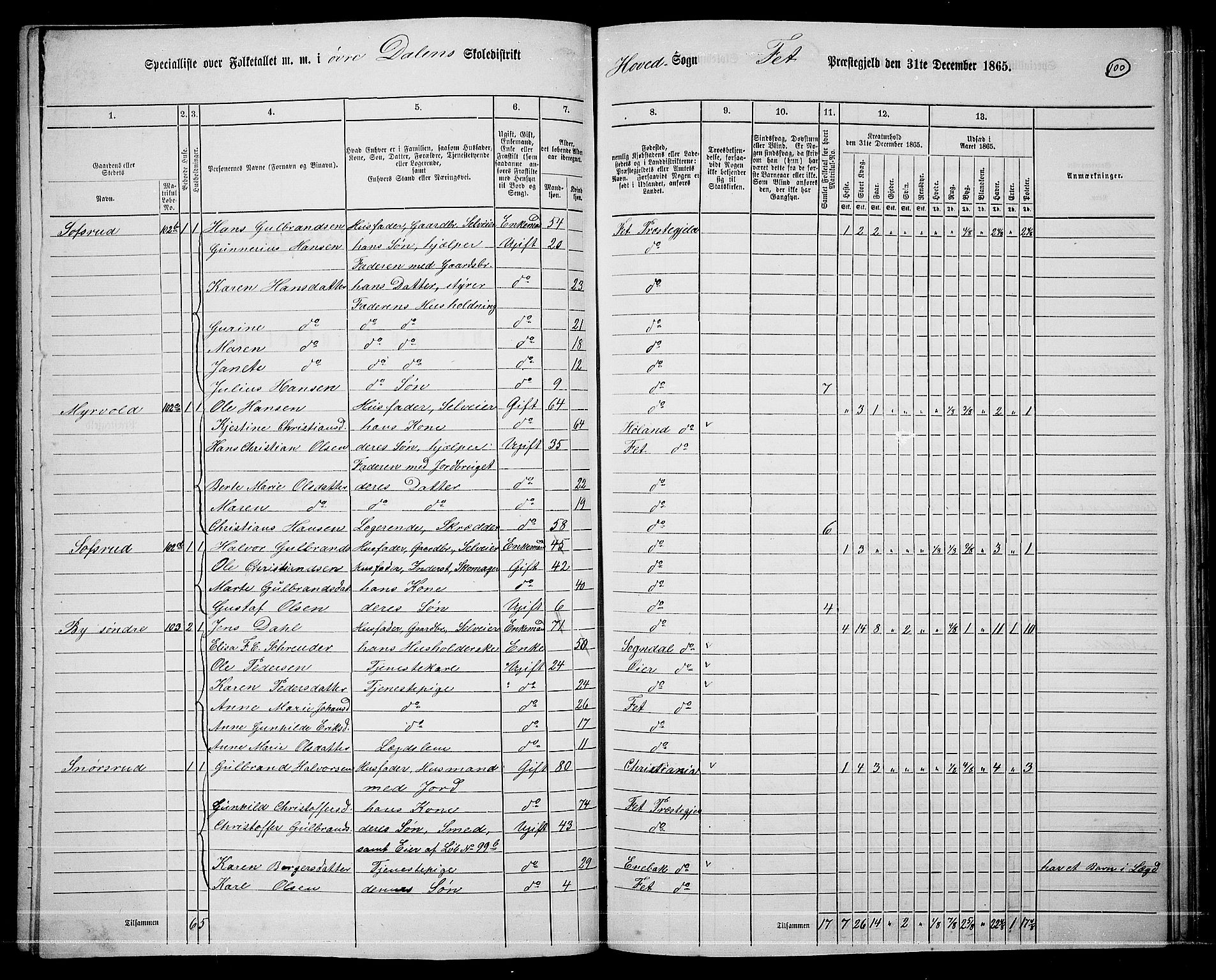 RA, 1865 census for Fet, 1865, p. 94