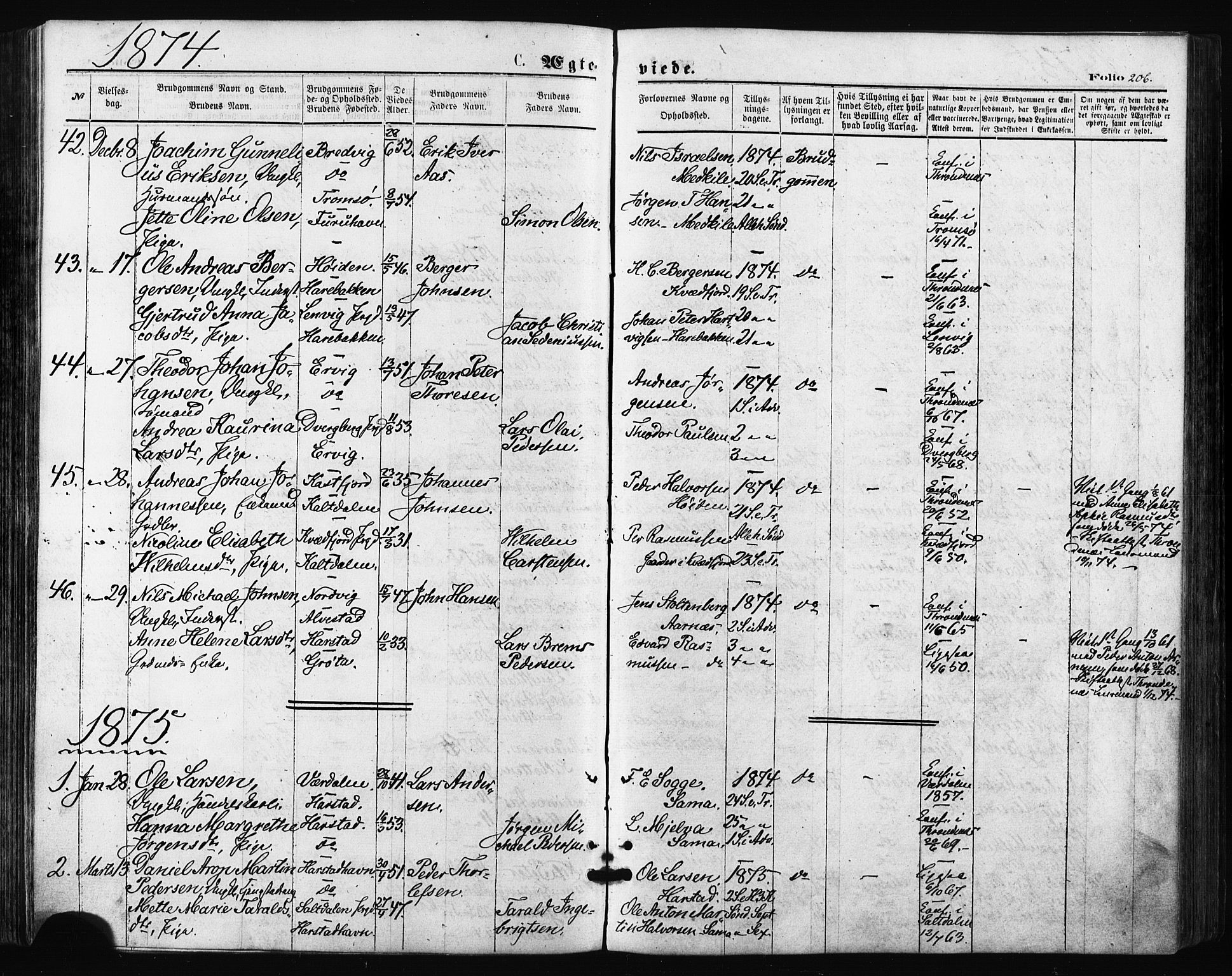 Trondenes sokneprestkontor, SATØ/S-1319/H/Ha/L0013kirke: Parish register (official) no. 13, 1870-1878, p. 206