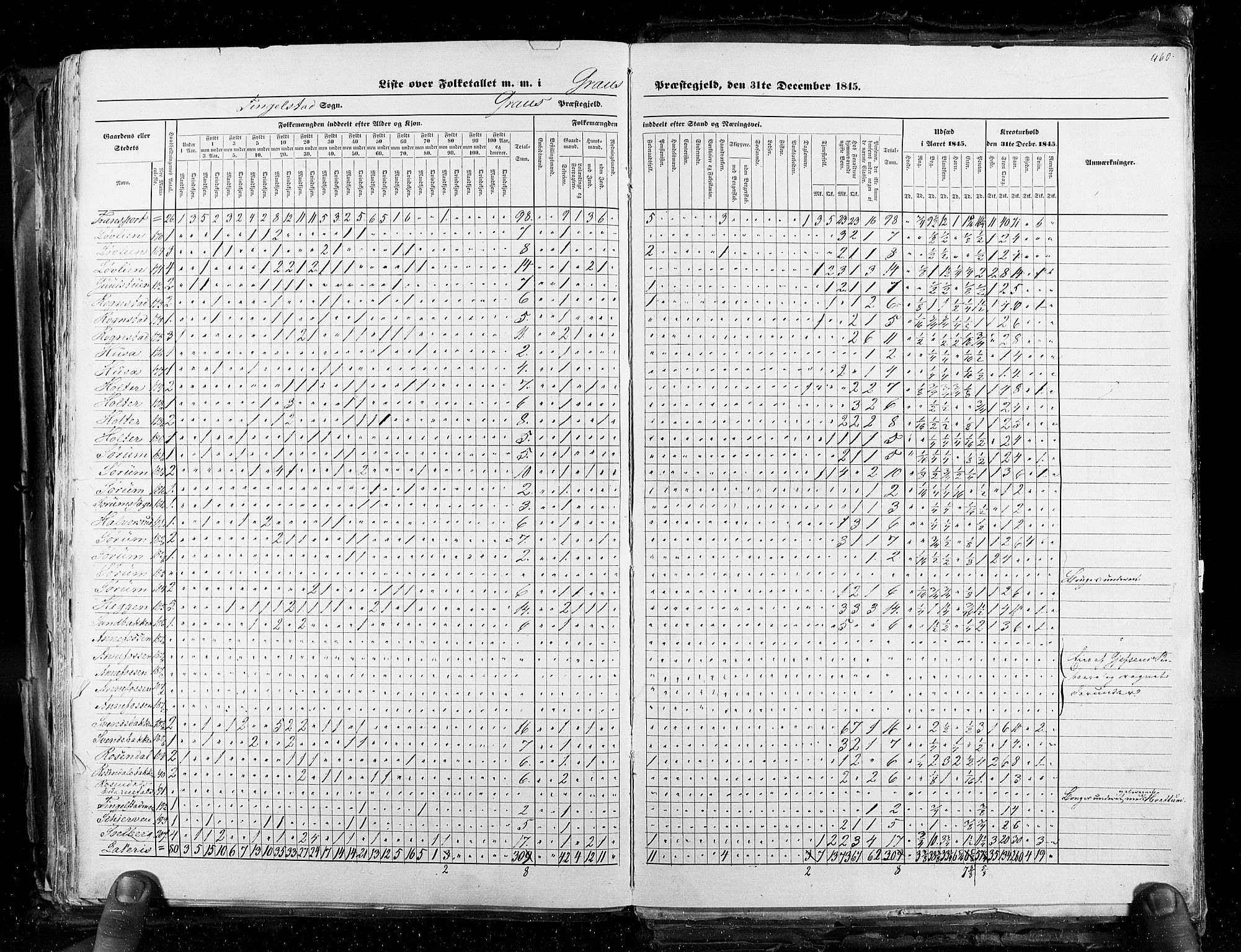 RA, Census 1845, vol. 3: Hedemarken amt og Kristians amt, 1845, p. 460