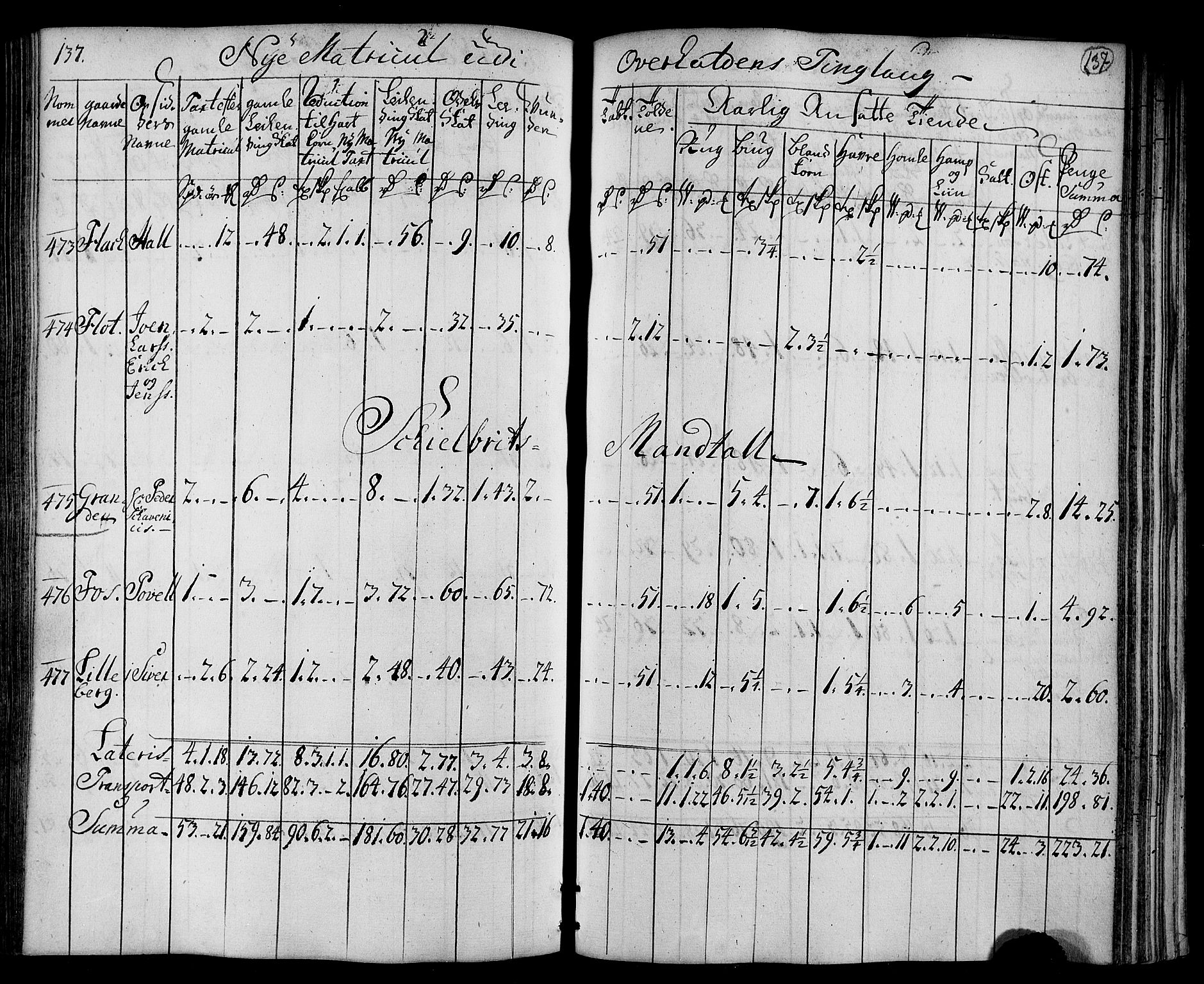 Rentekammeret inntil 1814, Realistisk ordnet avdeling, RA/EA-4070/N/Nb/Nbf/L0169: Namdalen matrikkelprotokoll, 1723, p. 140