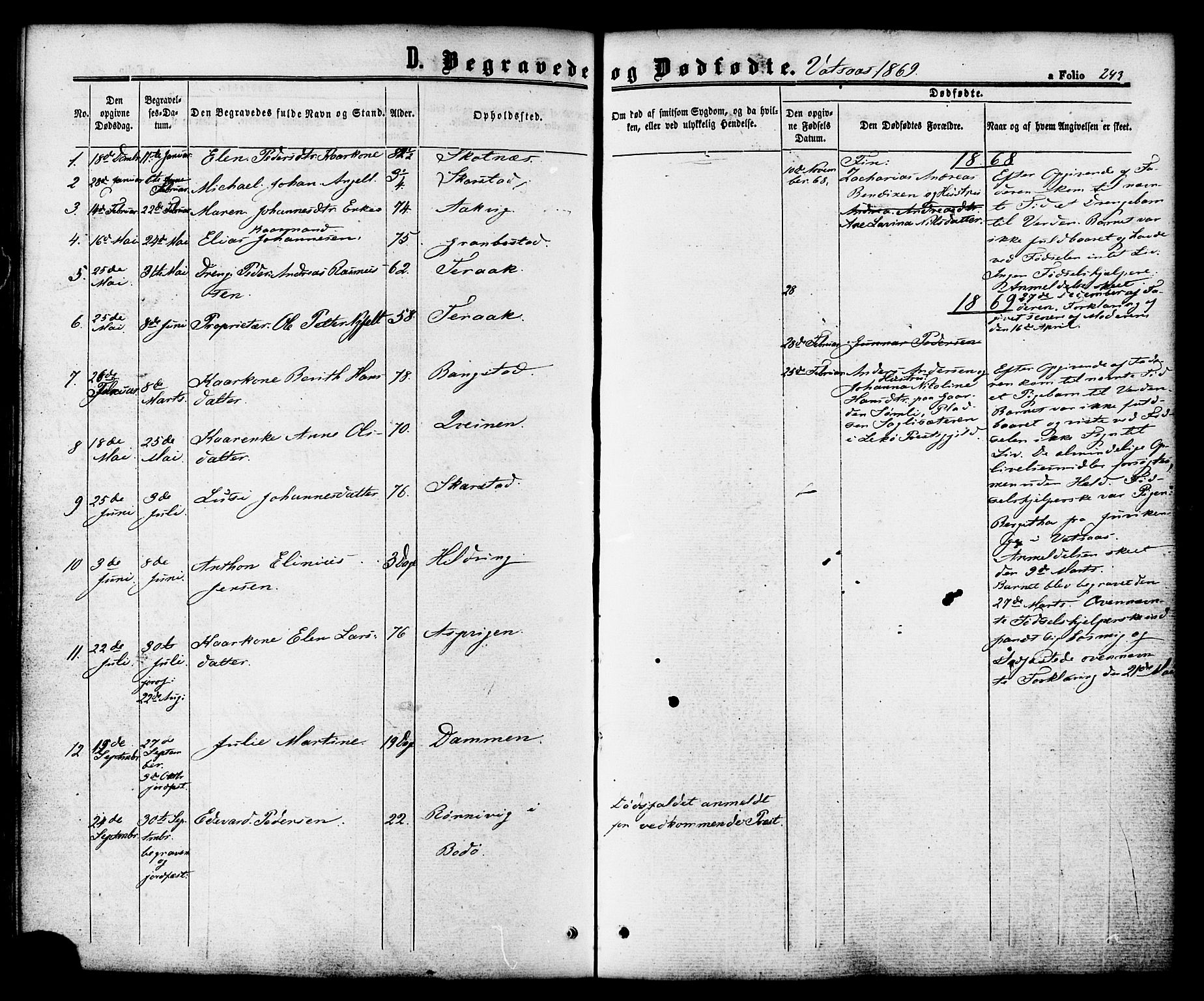 Ministerialprotokoller, klokkerbøker og fødselsregistre - Nordland, SAT/A-1459/810/L0146: Parish register (official) no. 810A08 /1, 1862-1874, p. 243