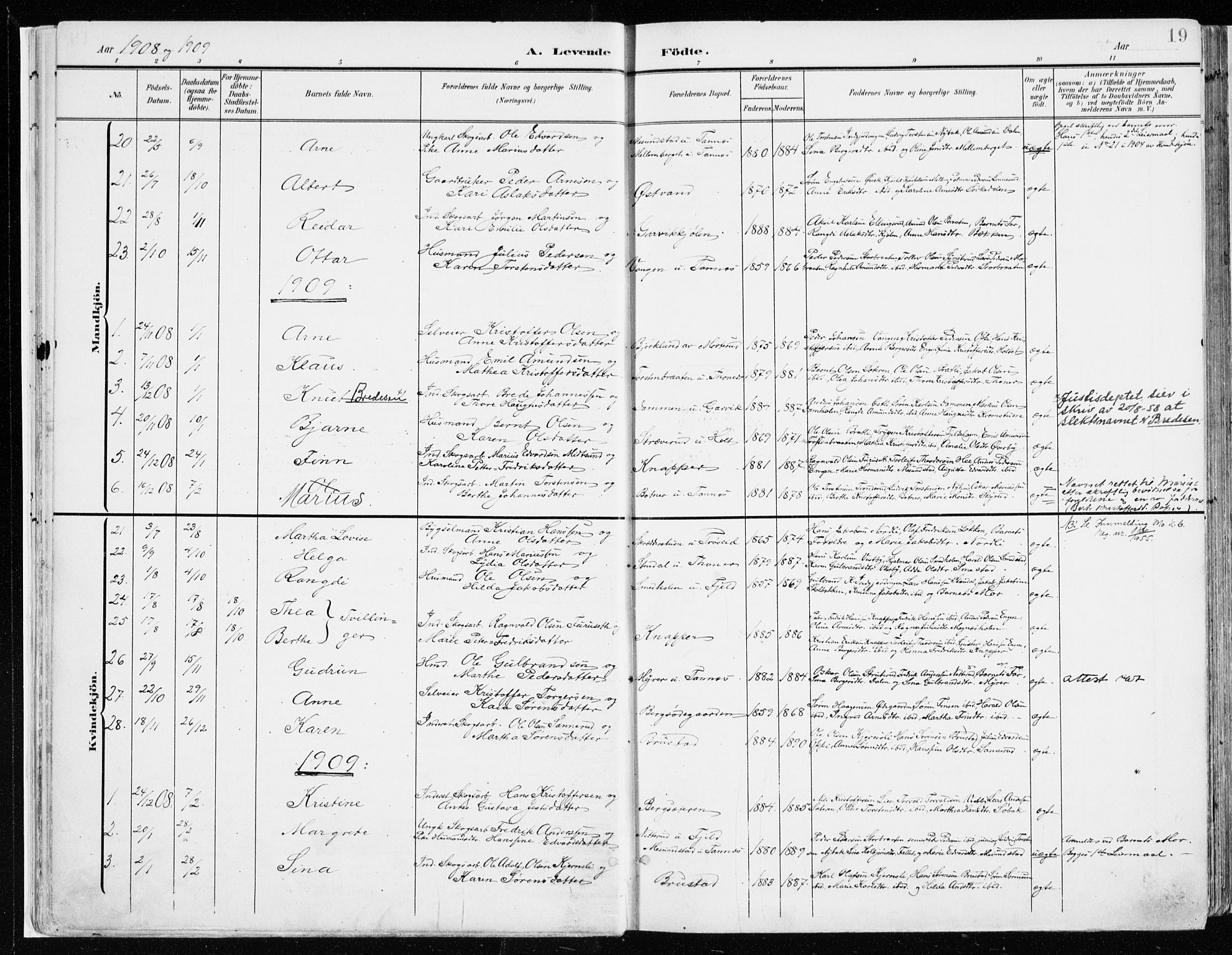 Nord-Odal prestekontor, AV/SAH-PREST-032/H/Ha/Haa/L0009: Parish register (official) no. 9, 1902-1926, p. 19