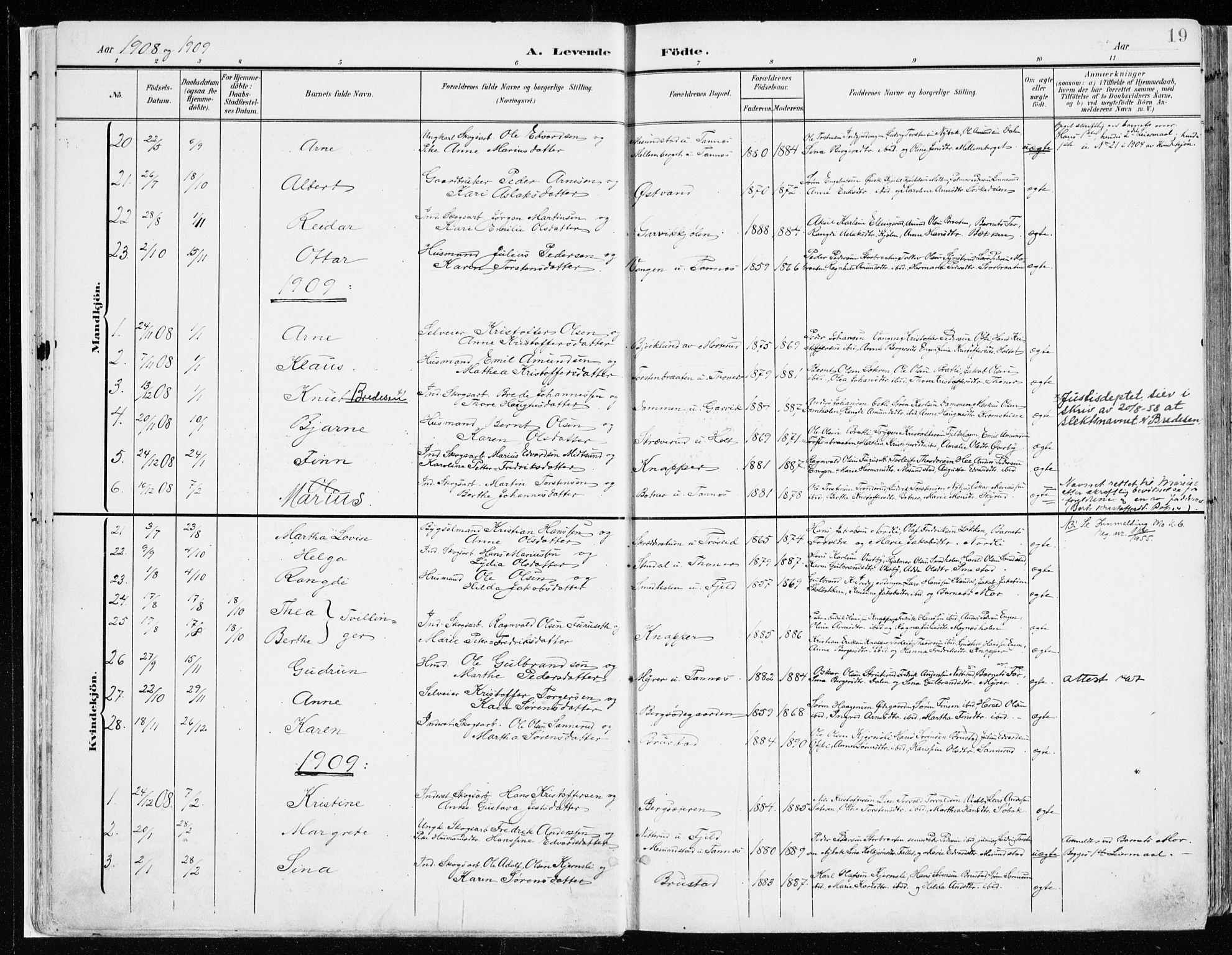 Nord-Odal prestekontor, SAH/PREST-032/H/Ha/Haa/L0009: Parish register (official) no. 9, 1902-1926, p. 19