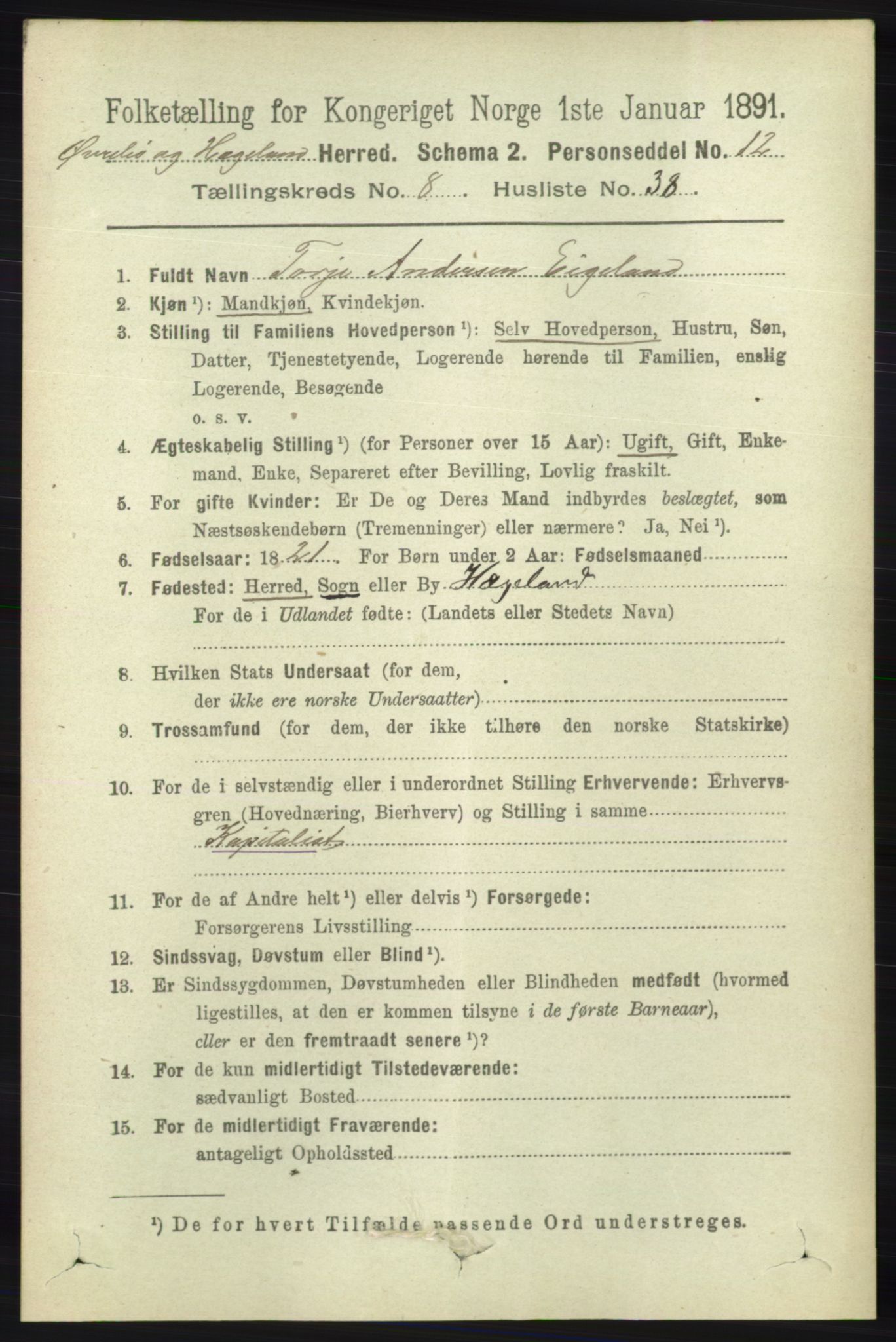 RA, 1891 census for 1016 Øvrebø og Hægeland, 1891, p. 1692