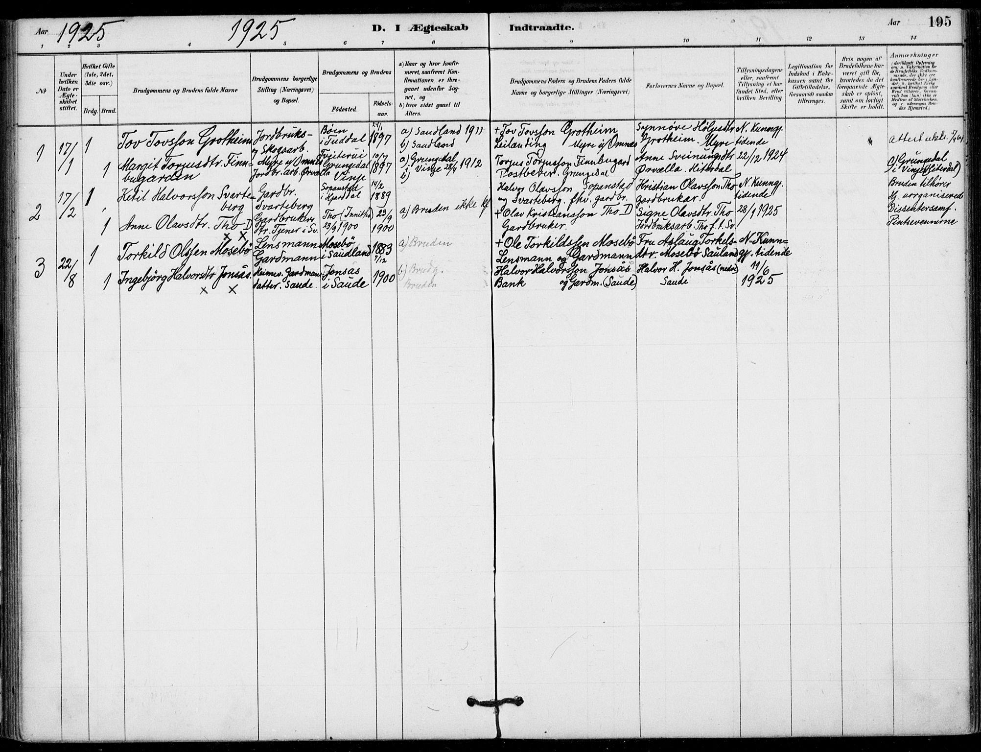Hjartdal kirkebøker, SAKO/A-270/F/Fb/L0002: Parish register (official) no. II 2, 1880-1932, p. 195
