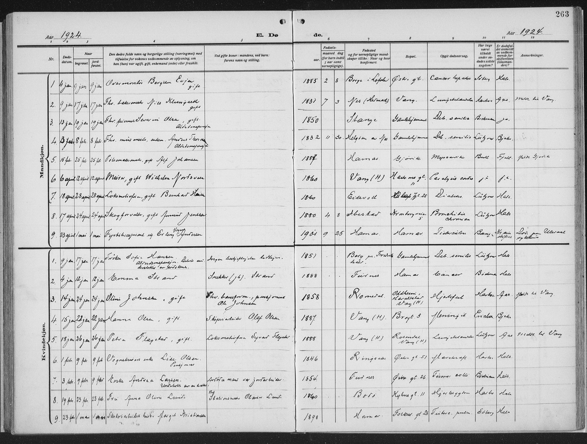 Hamar prestekontor, AV/SAH-DOMPH-002/H/Ha/Haa/L0002: Parish register (official) no. 2, 1915-1936, p. 263