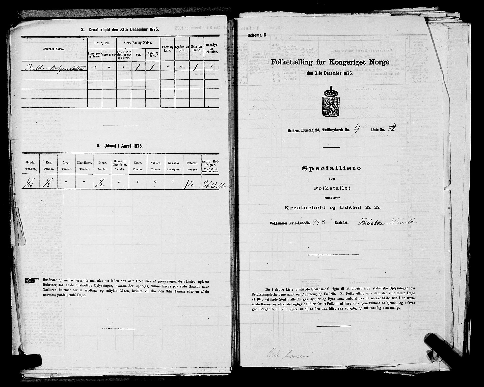 SAKO, 1875 census for 0819P Holla, 1875, p. 602