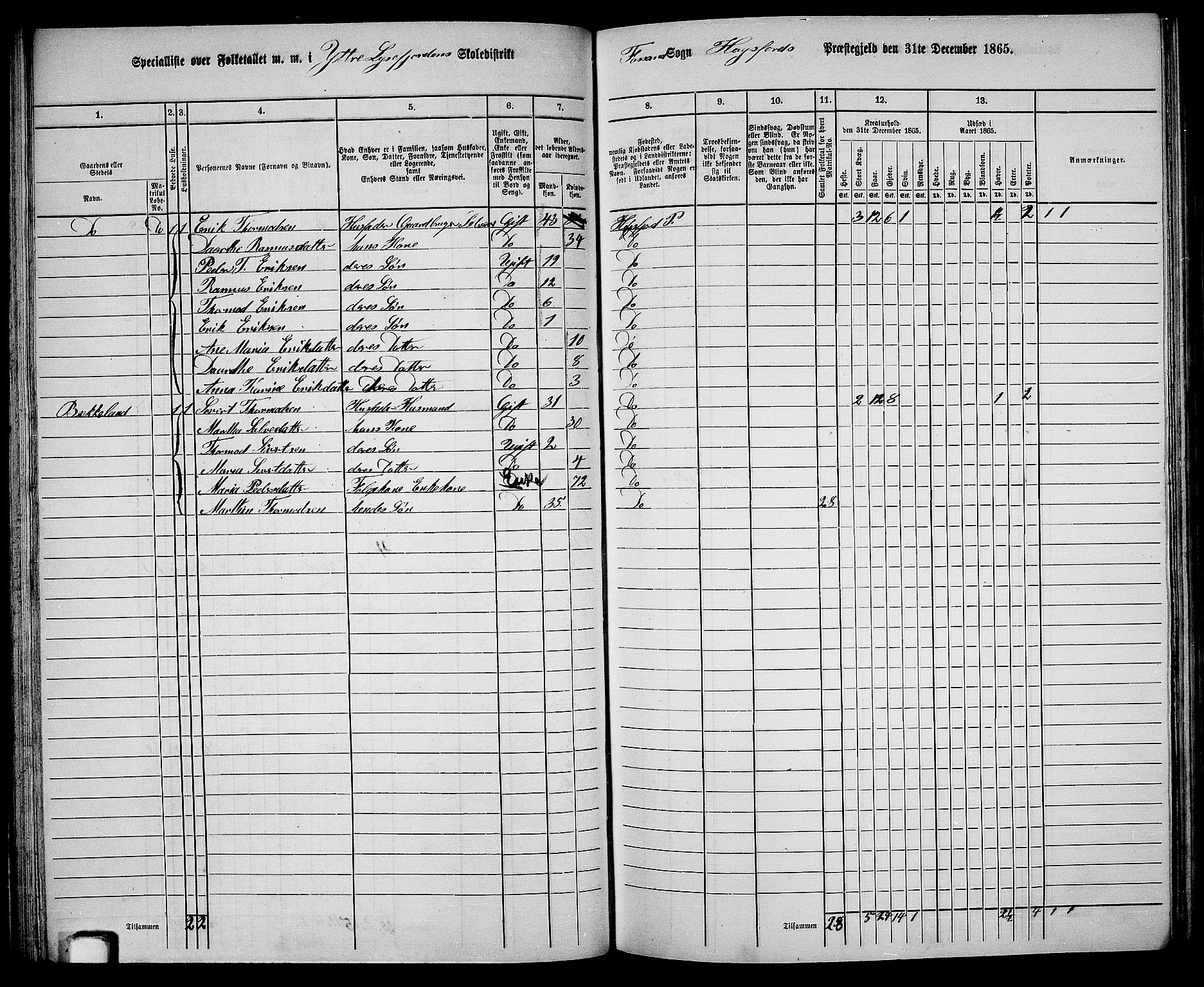 RA, 1865 census for Høgsfjord, 1865, p. 45