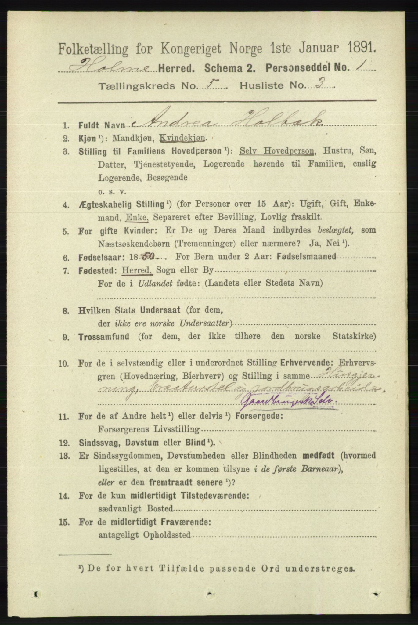 RA, 1891 census for 1020 Holum, 1891, p. 1244