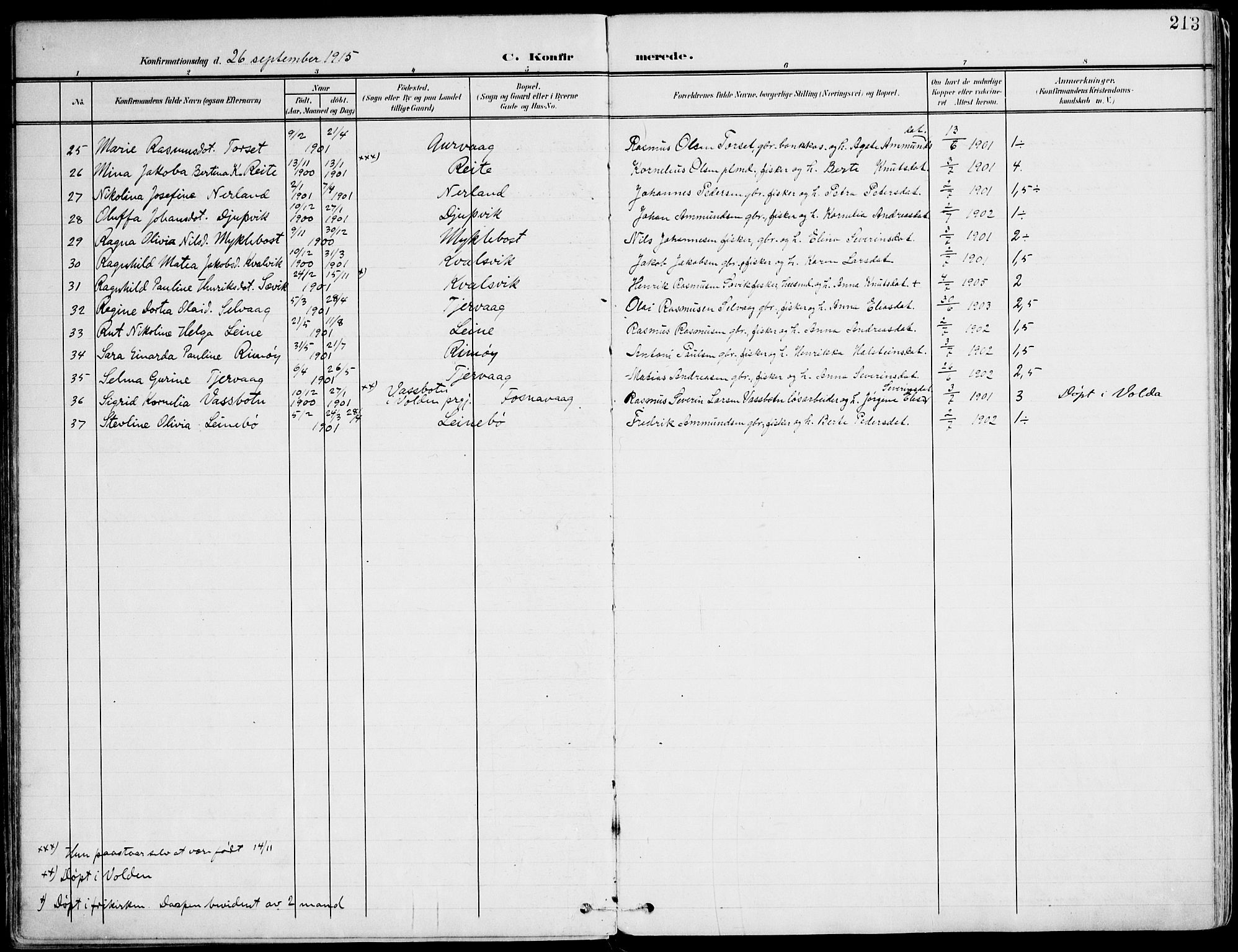 Ministerialprotokoller, klokkerbøker og fødselsregistre - Møre og Romsdal, SAT/A-1454/507/L0075: Parish register (official) no. 507A10, 1901-1920, p. 213