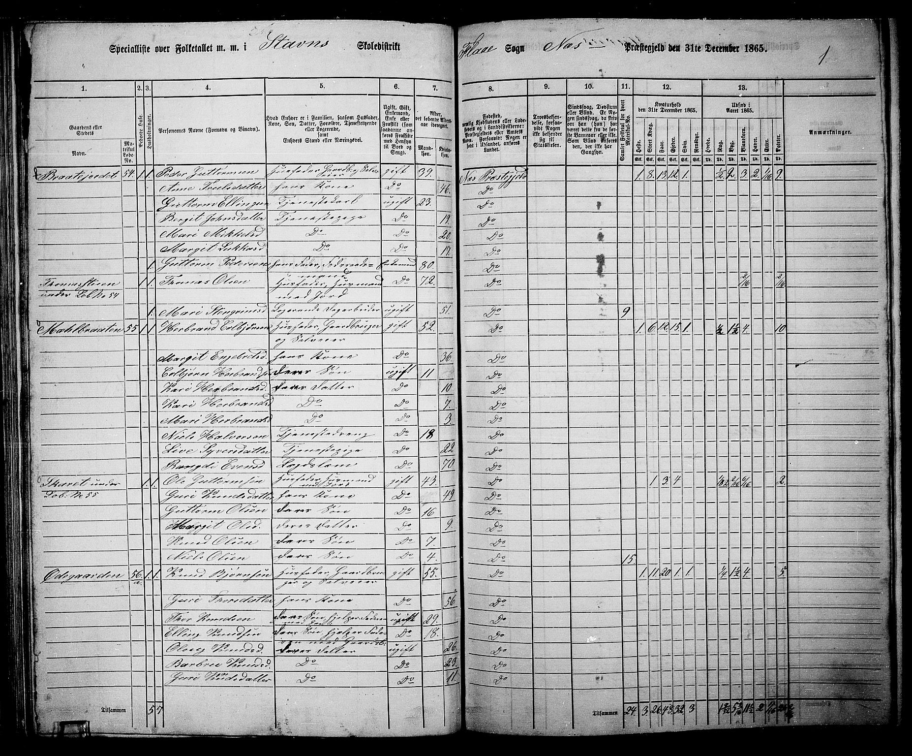 RA, 1865 census for Nes, 1865, p. 79