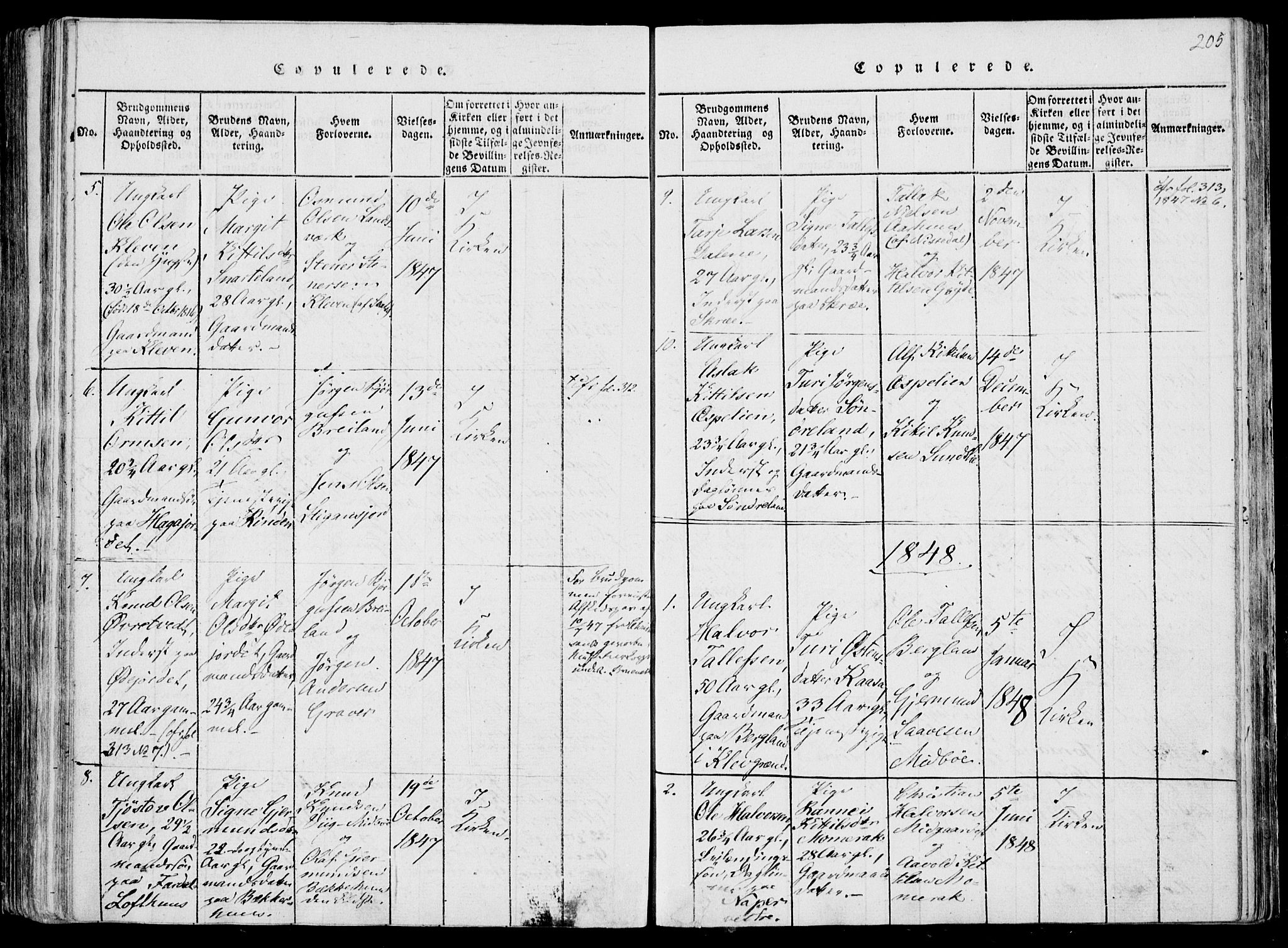 Fyresdal kirkebøker, SAKO/A-263/F/Fa/L0004: Parish register (official) no. I 4, 1815-1854, p. 205