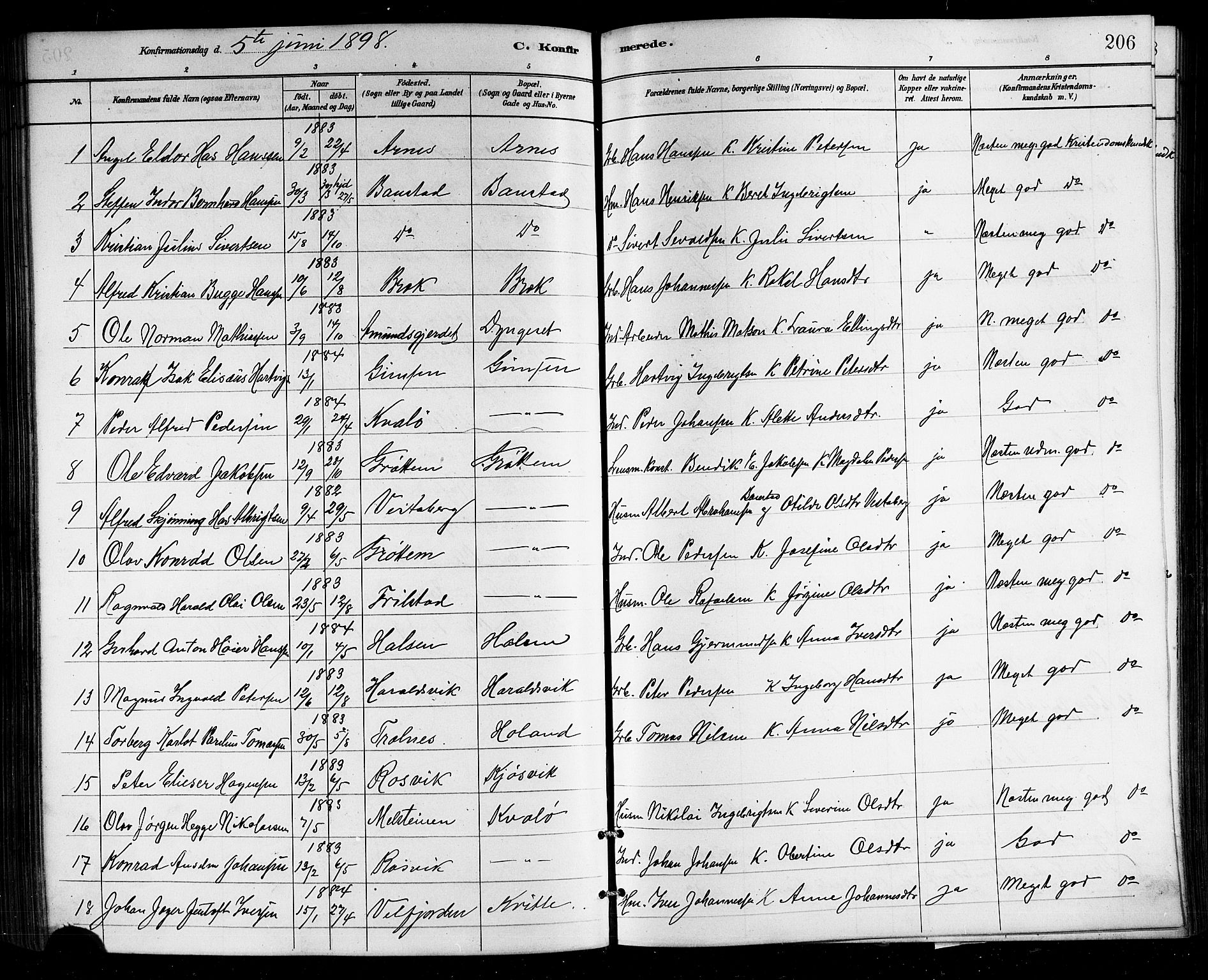 Ministerialprotokoller, klokkerbøker og fødselsregistre - Nordland, SAT/A-1459/812/L0188: Parish register (copy) no. 812C06, 1884-1912, p. 206