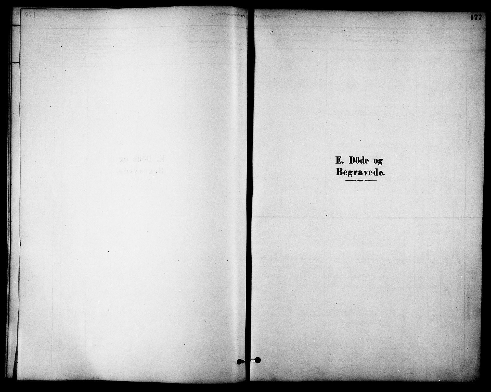 Ministerialprotokoller, klokkerbøker og fødselsregistre - Nordland, SAT/A-1459/861/L0868: Parish register (official) no. 861A03, 1879-1889, p. 177