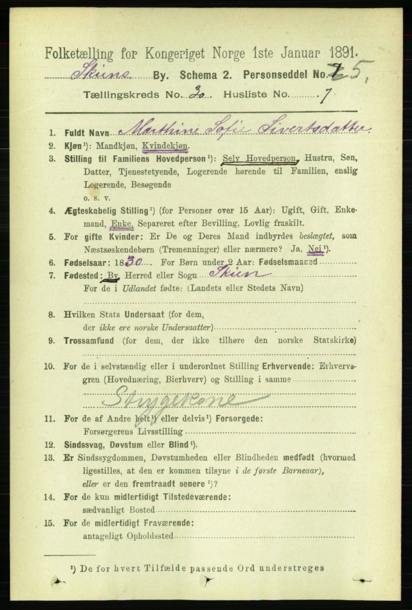 RA, 1891 census for 0806 Skien, 1891, p. 6921