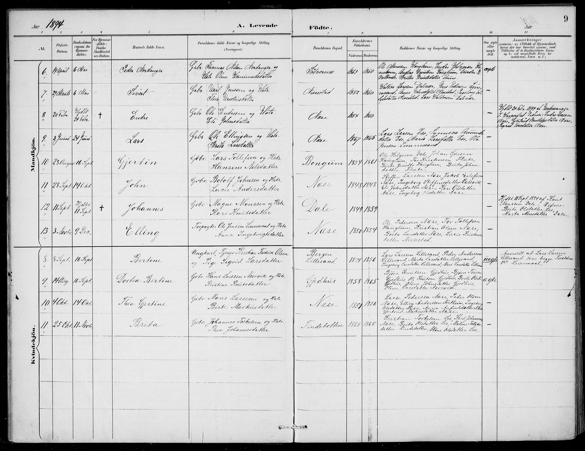 Vik sokneprestembete, AV/SAB-A-81501/H/Haa/Haac/L0002: Parish register (official) no. C  2, 1891-1910, p. 9