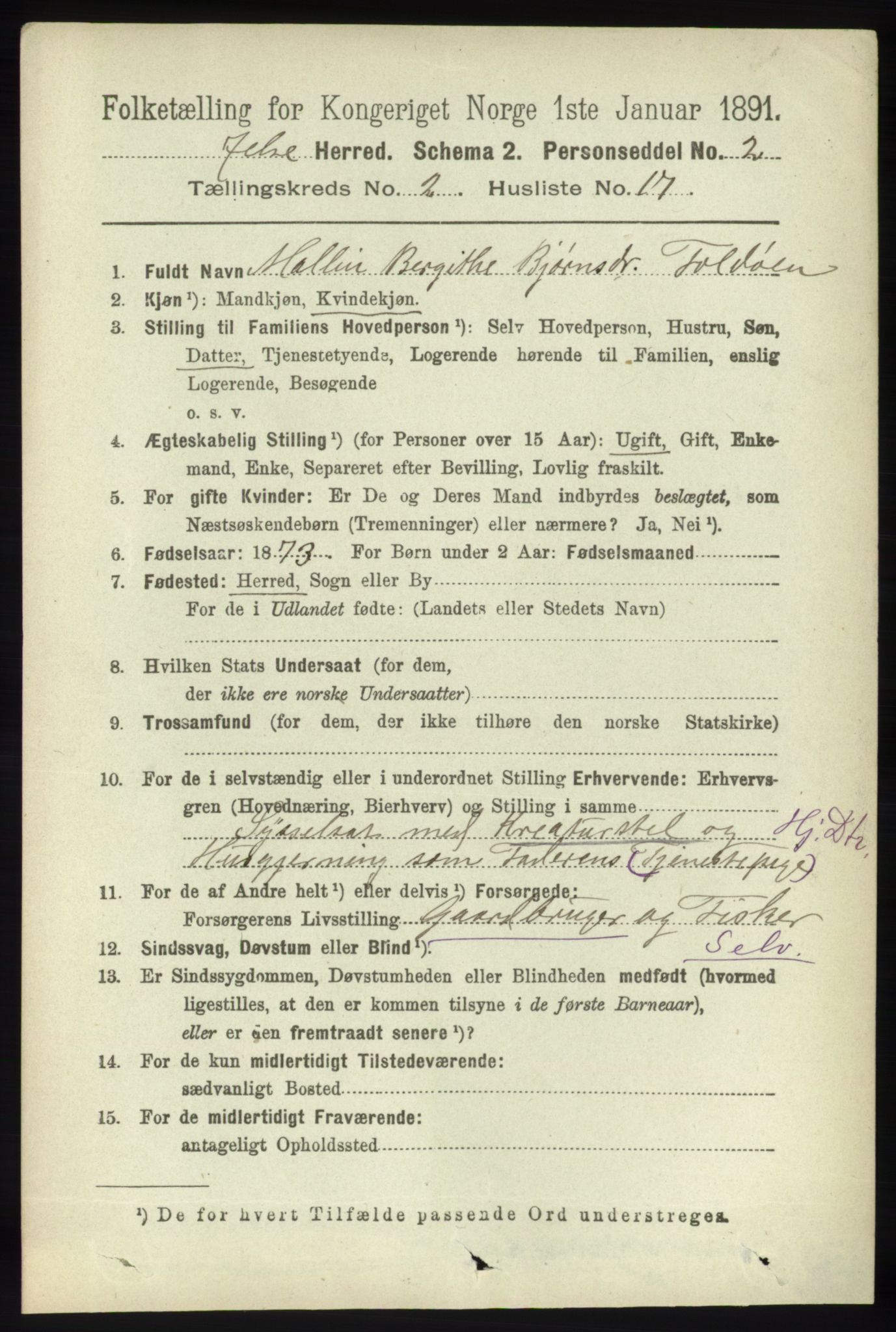 RA, 1891 census for 1138 Jelsa, 1891, p. 325