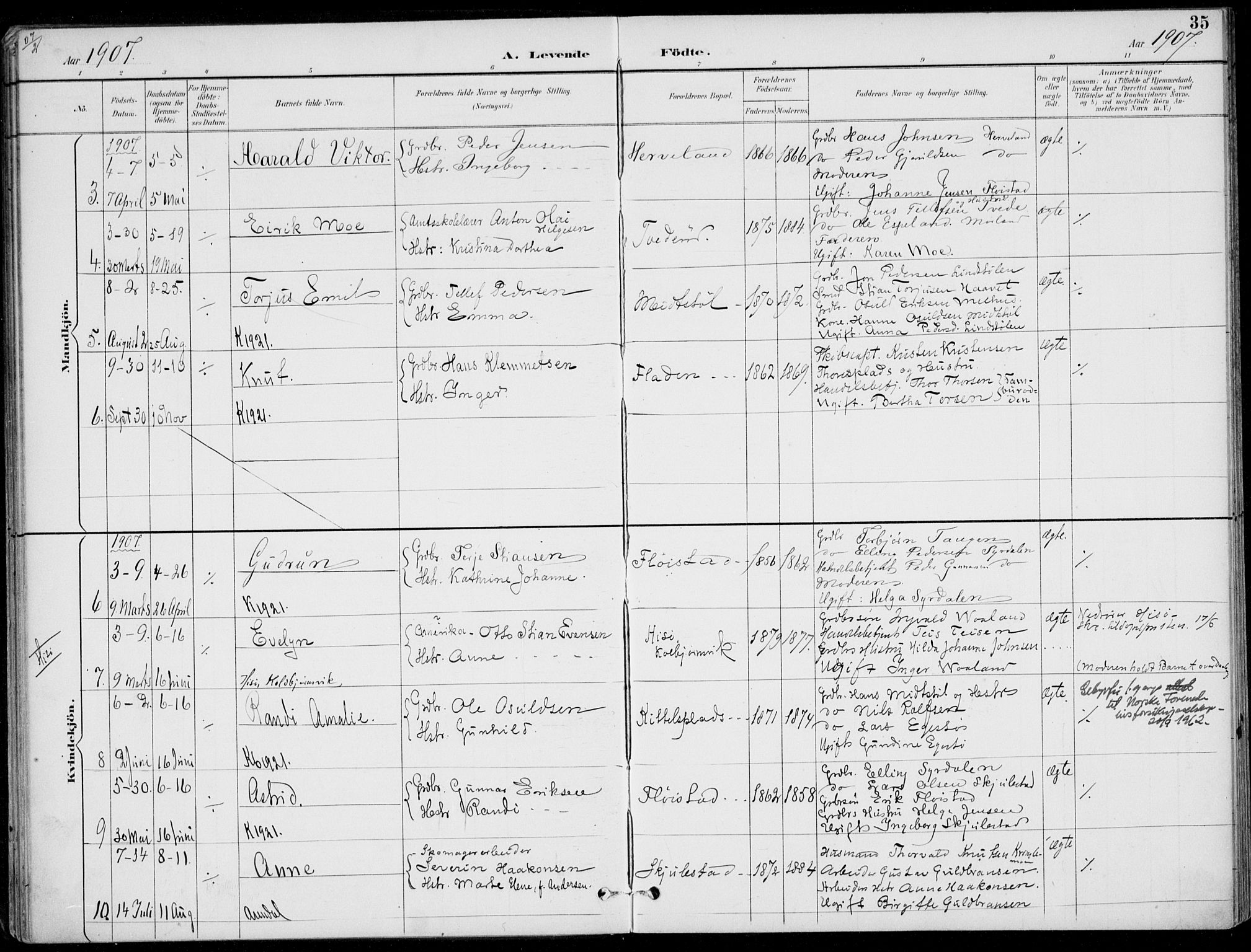 Austre Moland sokneprestkontor, AV/SAK-1111-0001/F/Fa/Faa/L0011: Parish register (official) no. A 11, 1894-1915, p. 35