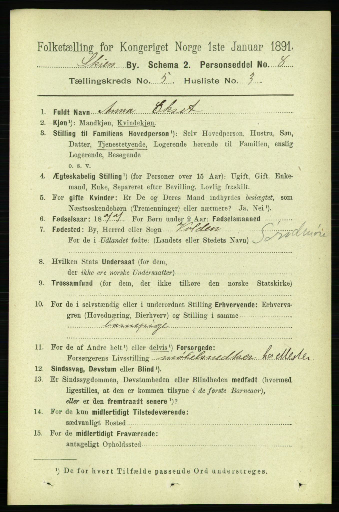 RA, 1891 census for 0806 Skien, 1891, p. 2910