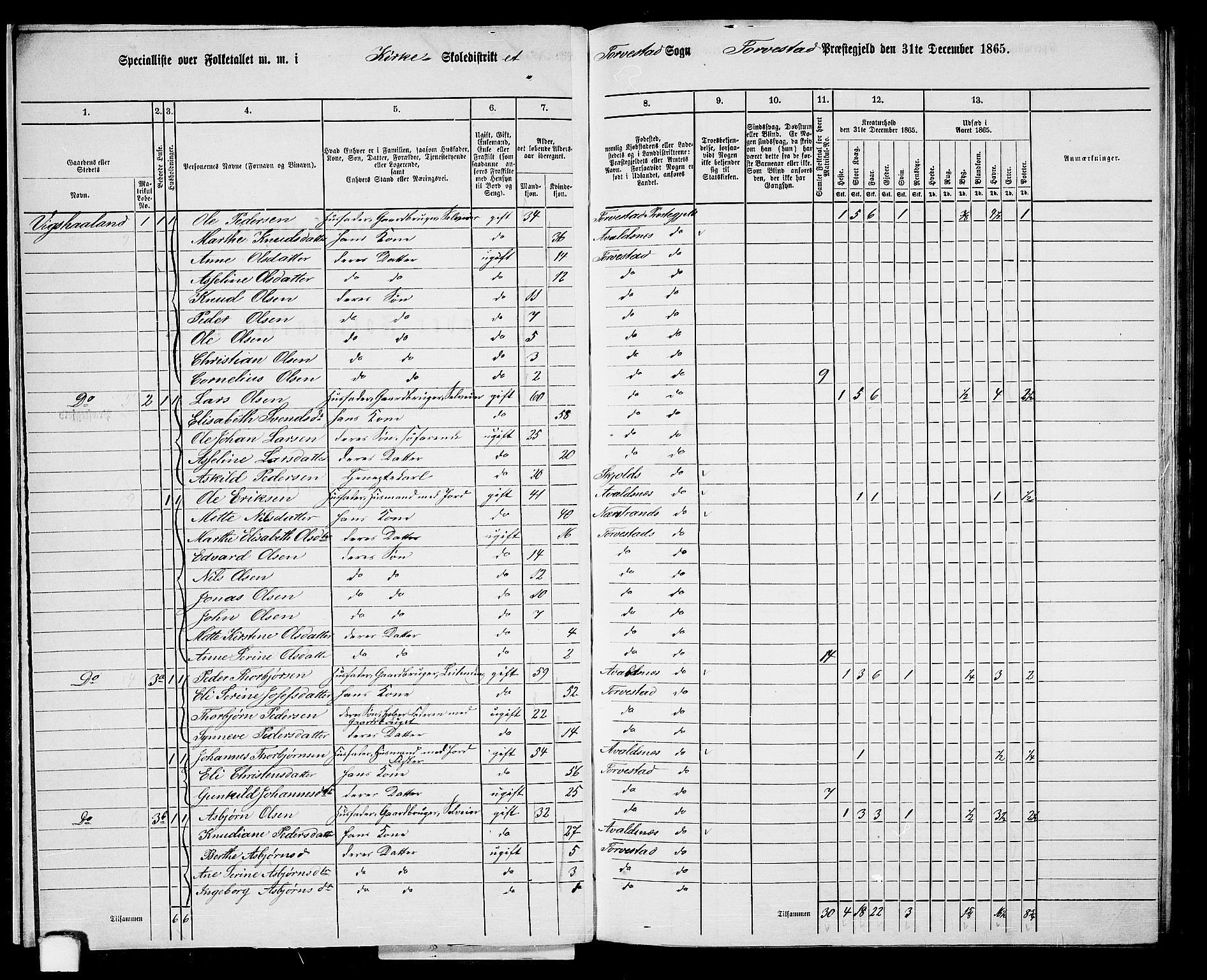 RA, 1865 census for Torvastad/Torvastad, Skåre og Utsira, 1865, p. 17