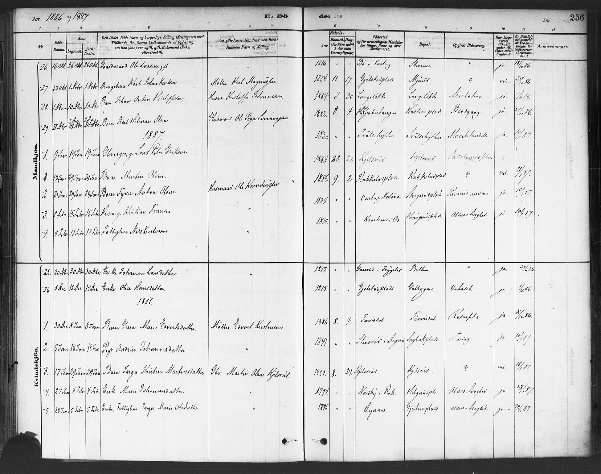 Rakkestad prestekontor Kirkebøker, AV/SAO-A-2008/F/Fa/L0012: Parish register (official) no. I 12, 1878-1893, p. 256