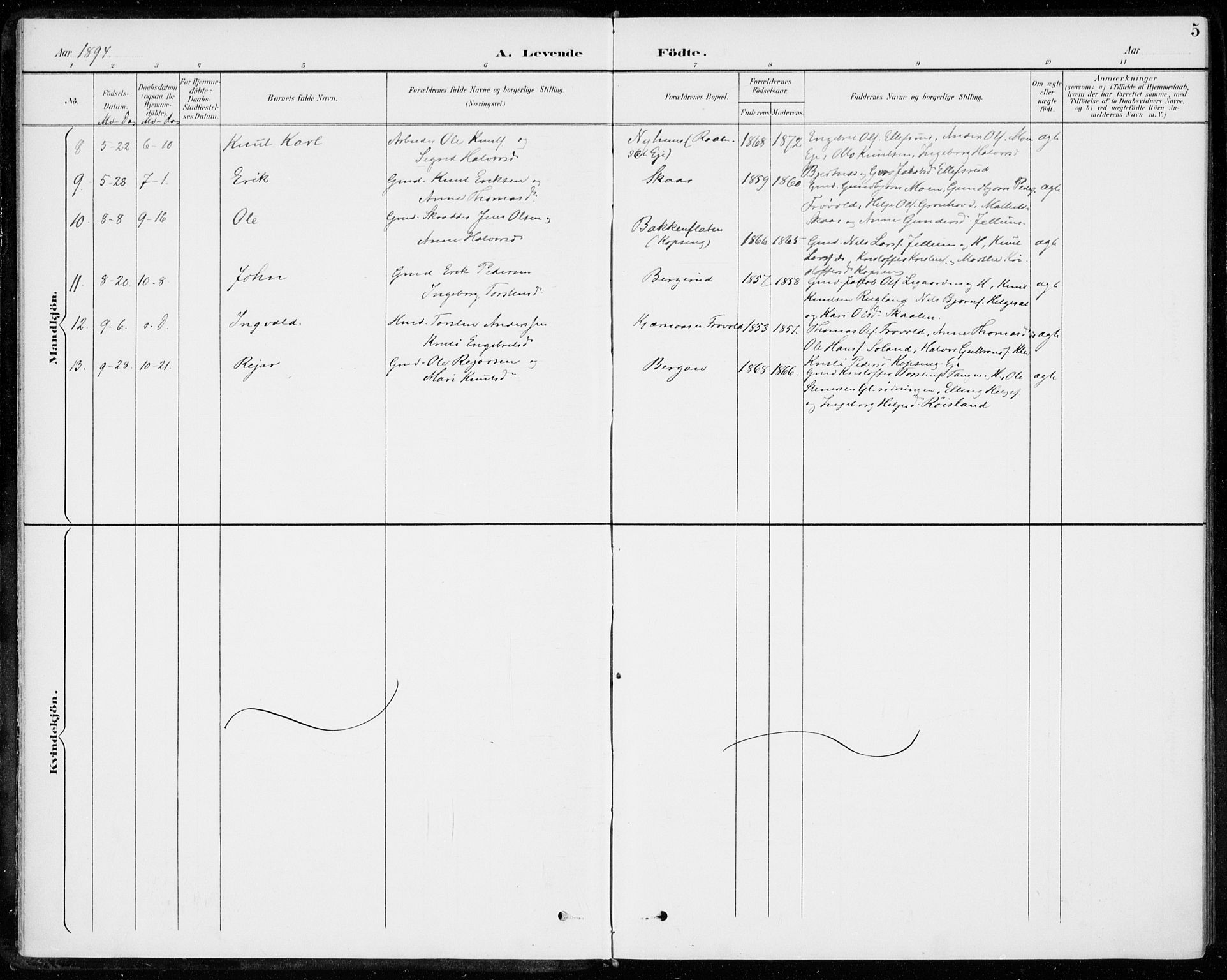 Sigdal kirkebøker, AV/SAKO-A-245/F/Fc/L0002: Parish register (official) no. III 2, 1894-1911, p. 5