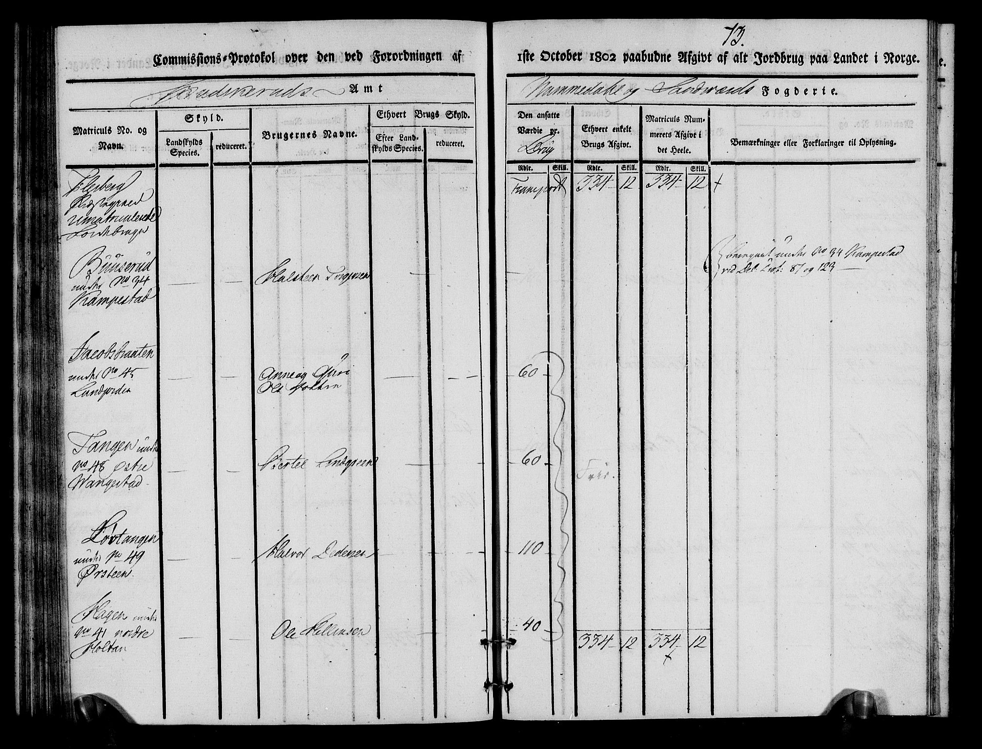 Rentekammeret inntil 1814, Realistisk ordnet avdeling, AV/RA-EA-4070/N/Ne/Nea/L0055: Numedal og Sandsvær fogderi. Kommisjonsprotokoll for Flesberg prestegjeld, 1803, p. 74