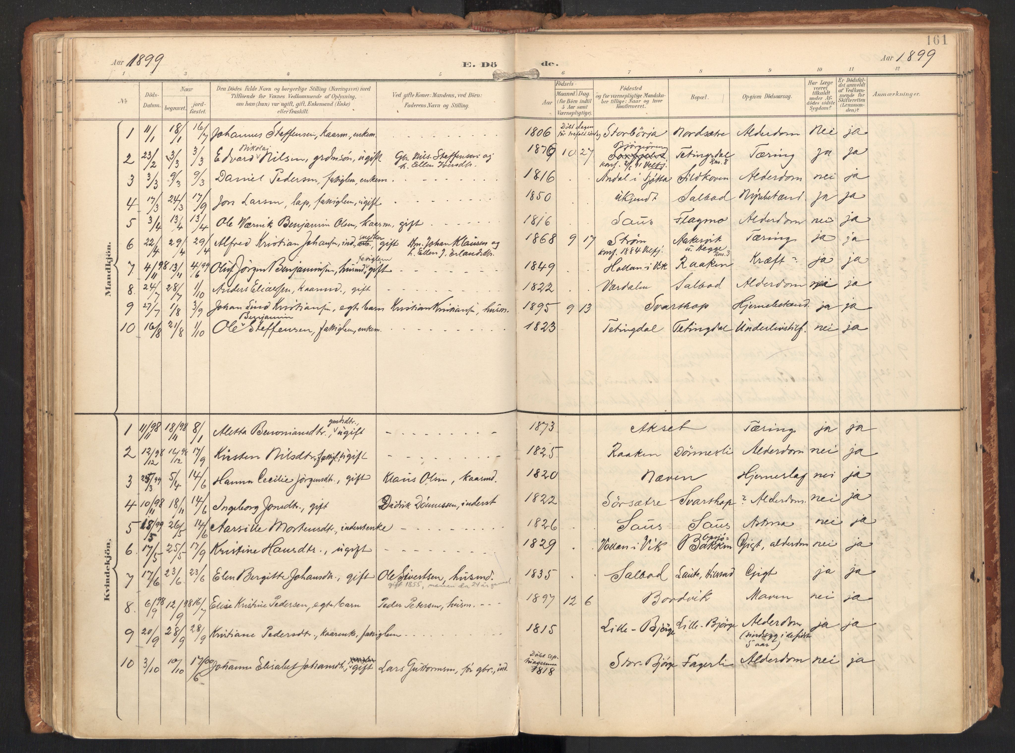 Ministerialprotokoller, klokkerbøker og fødselsregistre - Nordland, SAT/A-1459/814/L0227: Parish register (official) no. 814A08, 1899-1920, p. 161