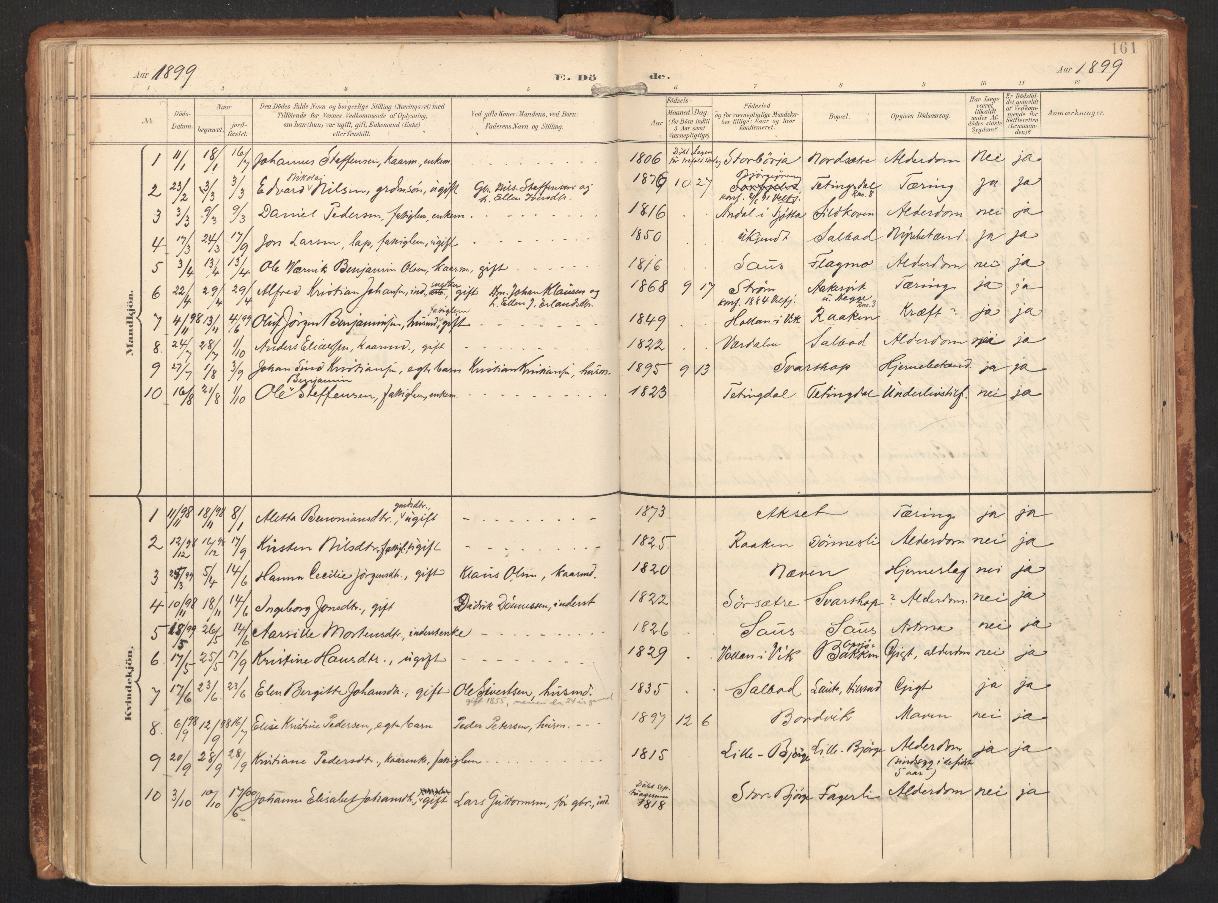 Ministerialprotokoller, klokkerbøker og fødselsregistre - Nordland, AV/SAT-A-1459/814/L0227: Parish register (official) no. 814A08, 1899-1920, p. 161