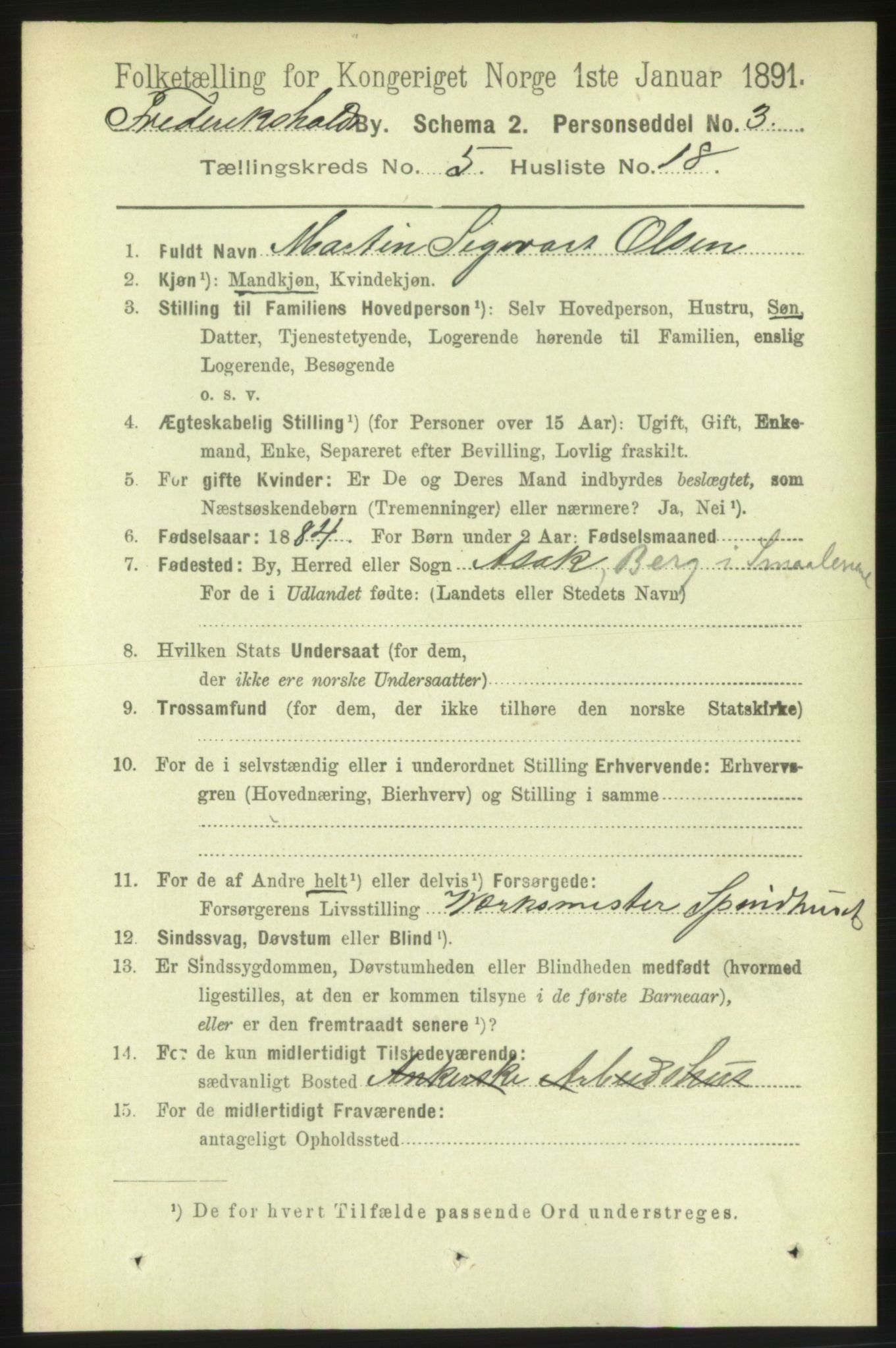 RA, 1891 census for 0101 Fredrikshald, 1891, p. 4205